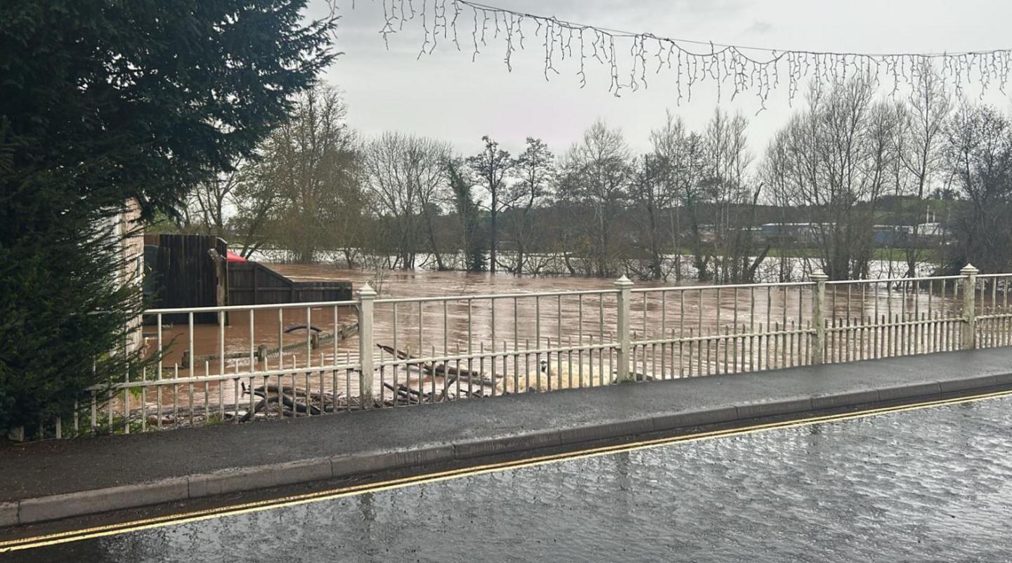 The image shows lots of water both on a road and what looks to be fields. The water on the fields is brown and seems to have risen high up the trees in the background.