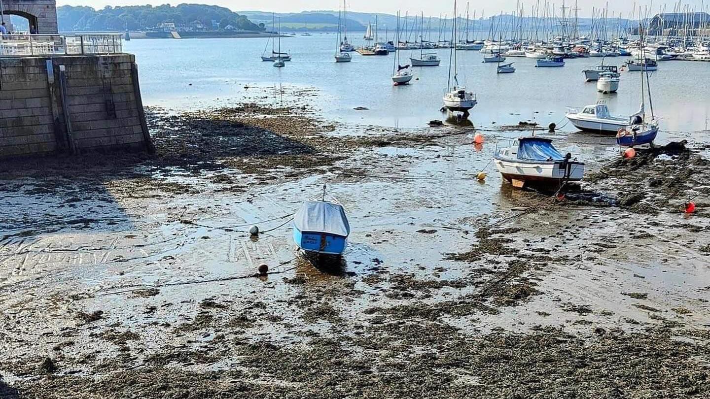 A picture of Stonehouse beach at the Royal William Yard, Plymouth. The tide is out and small boats positioned on the low tide. It is muddy and there is seaweed scattered across the surface. There is a stone wall on the left-hand side of the image which is part of Royal William Yard.