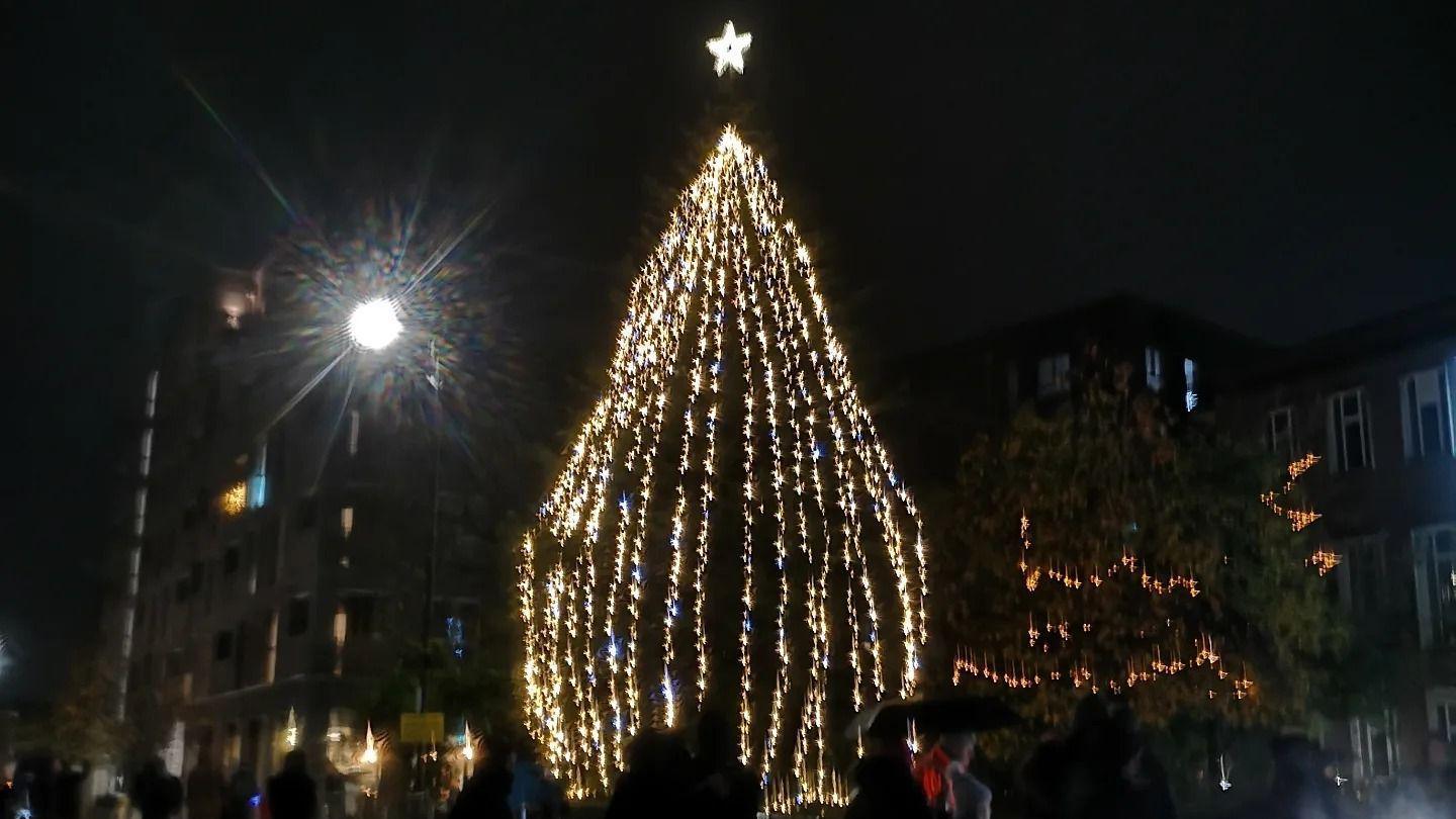 The Christmas tree outside Maidenhead town hall. It is night time.