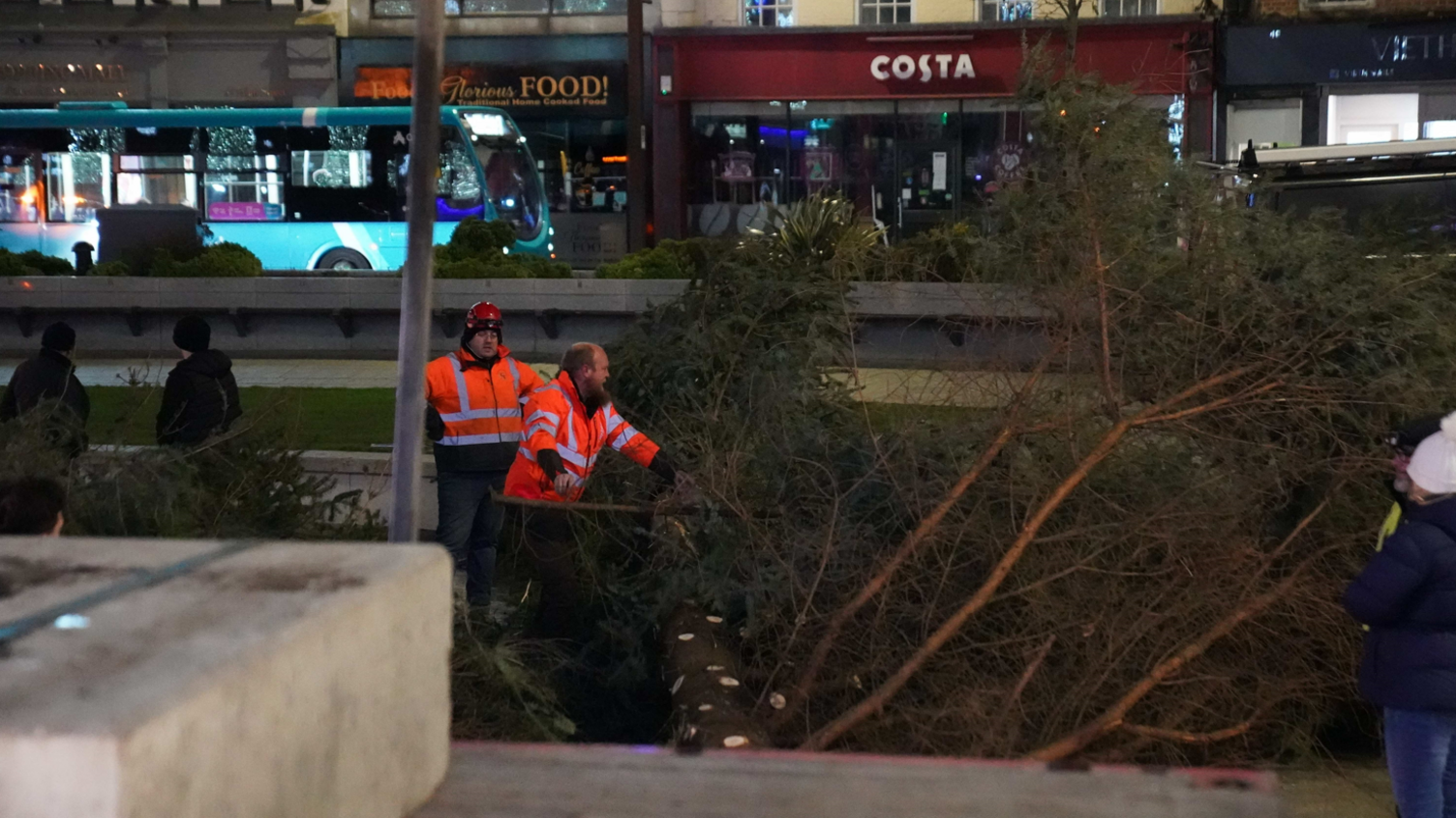 Workman removed the branches of the tree