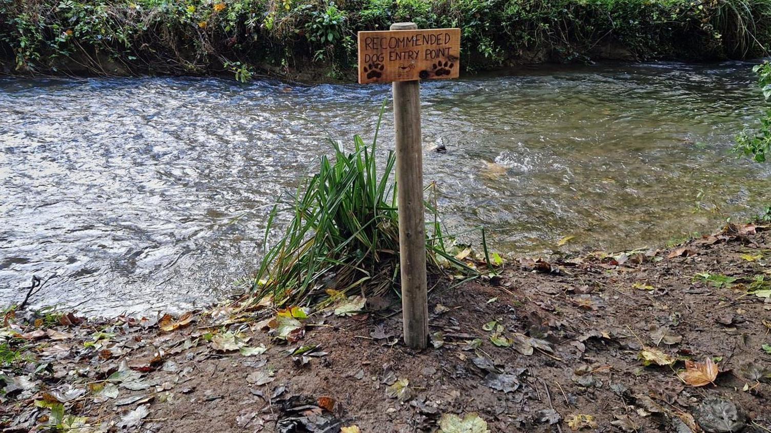 One of the signs set into the muddy level bank of a shallow river with its far bank visible. The wooden sign is screwed on to a wooden post that reads 'Recommended dog entry point' in capital letters burnt in to the wood. There is a line drawing of a spotted dog standing in water and two paw large dog prints burnt in to the wood.