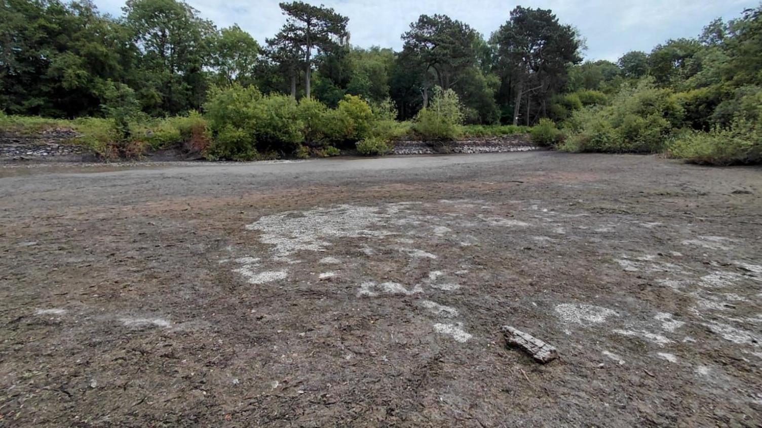 Colony reservoir completely dried out with trees in the background