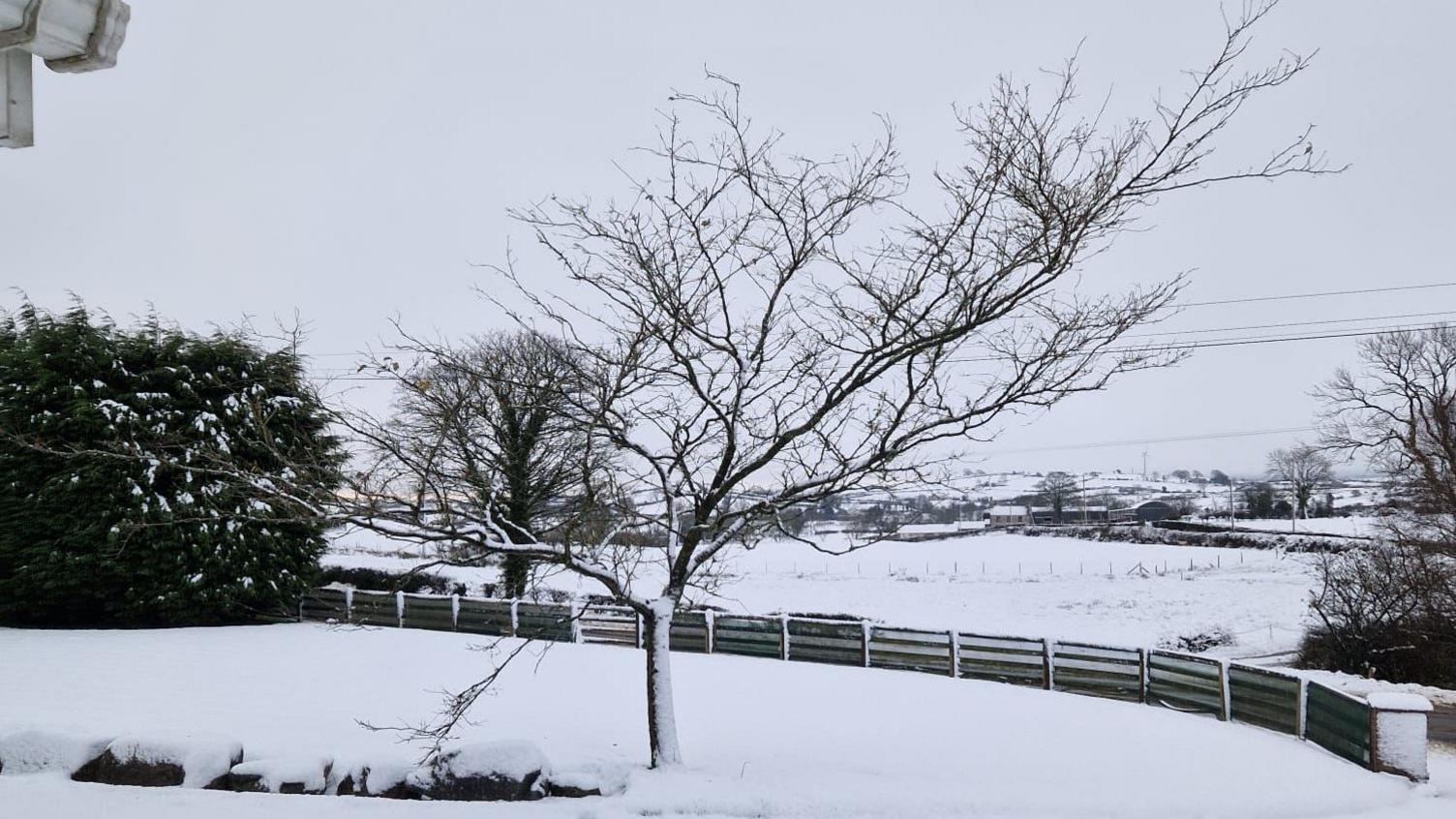 a wintry landscape of snow on a domestic garden with fields in the background. There is so much white snow in the photograph that it looks black and white even though it was taken in colour