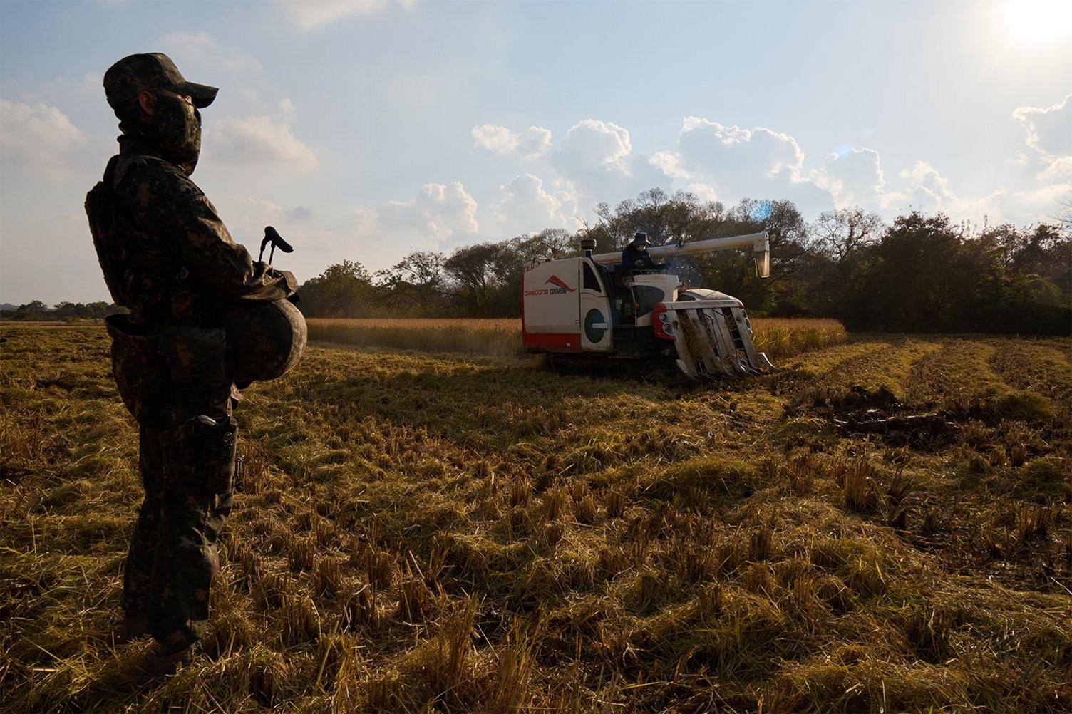 Soldier in a field guards farmer