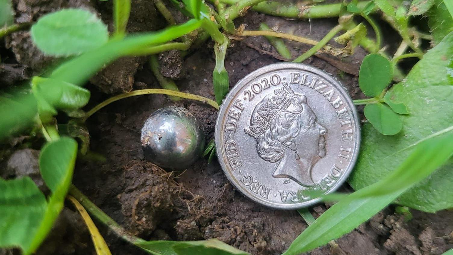 A silver ball bearing on the muddy ground next to a 10 pence coin. Green leaves surround the items. 