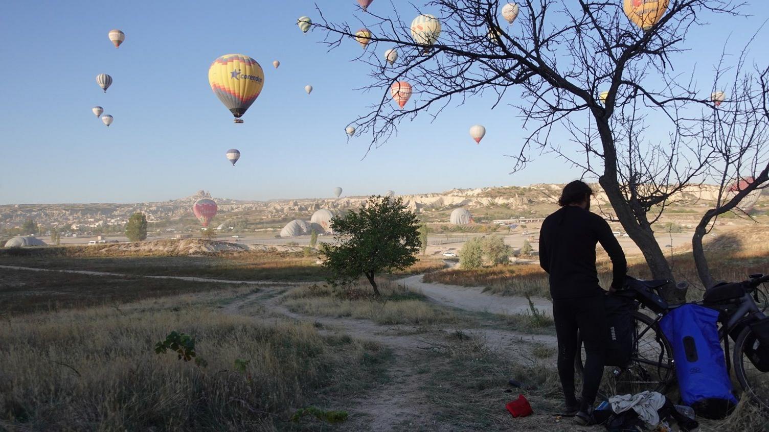 A man standing by a tree and he is looking at hot air balloons across a field.