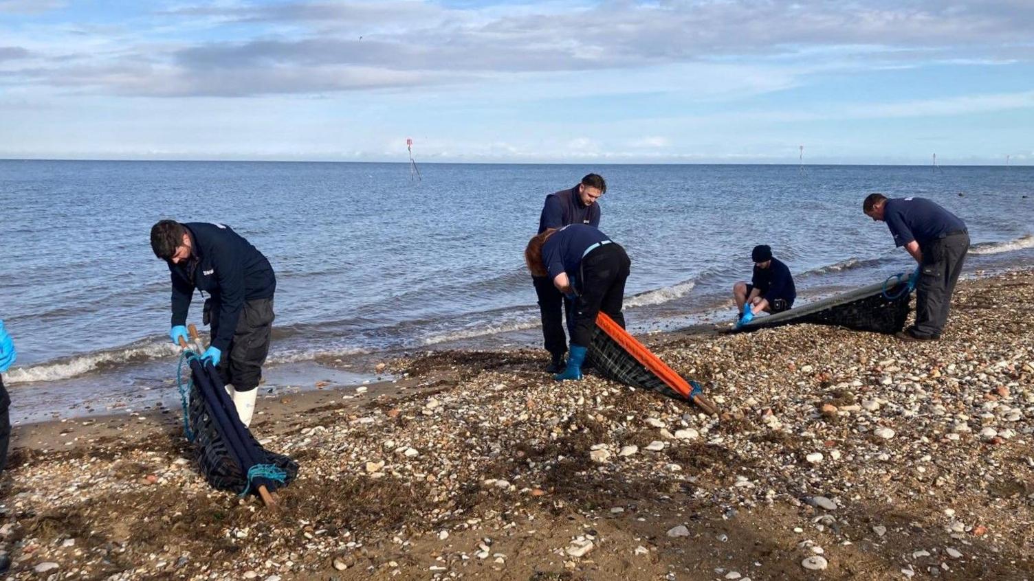 Five people dressed in Navy blue uniforms are helping to release the seals back into the wild. They are standing on a beach by the water's edge with the seals in long carry nets.