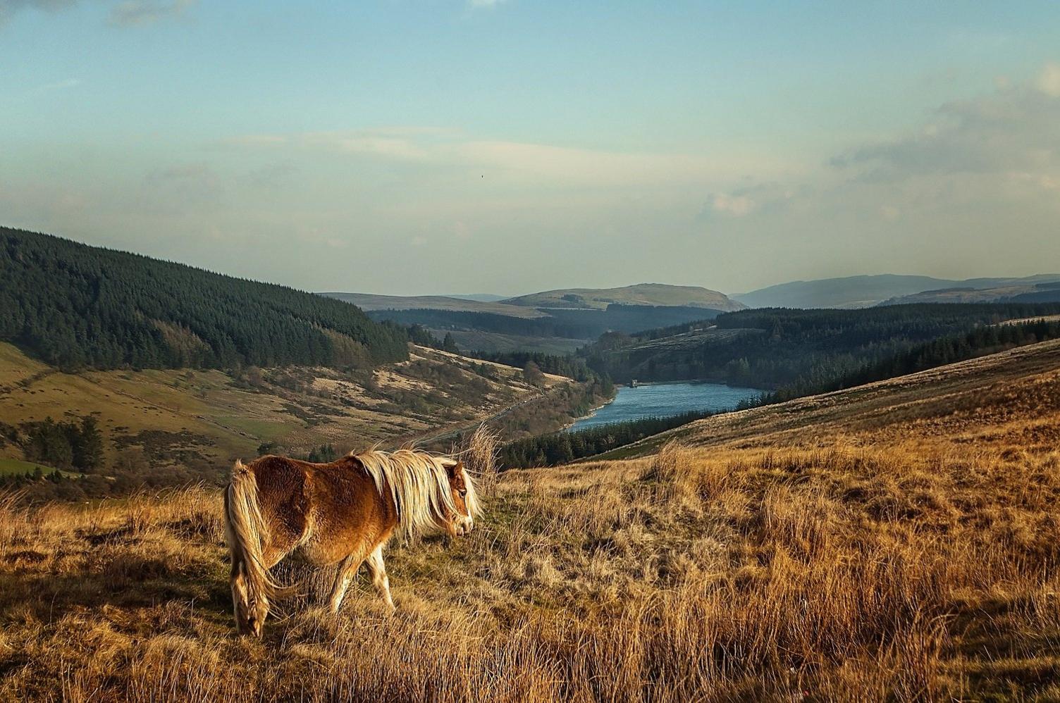 Cronfa ddŵr Llwyn Onn o Benderyn