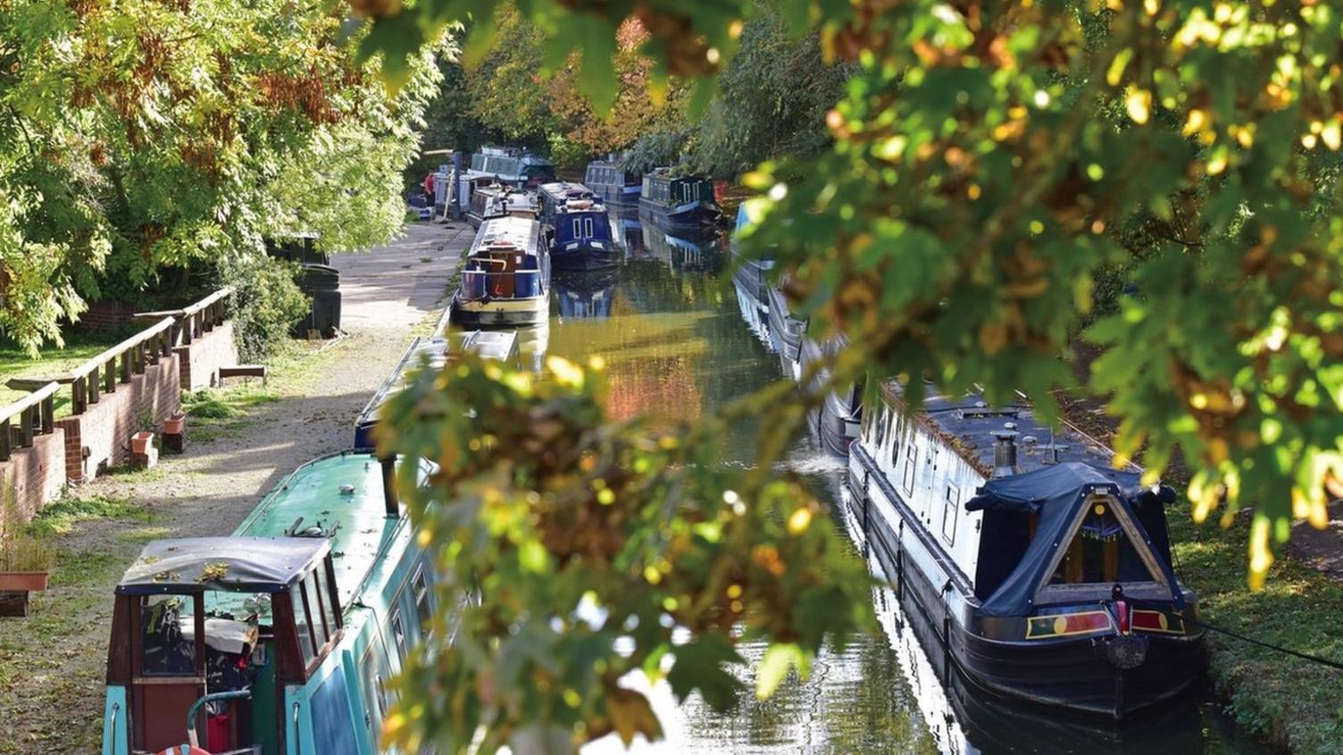 Jericho by the Canal