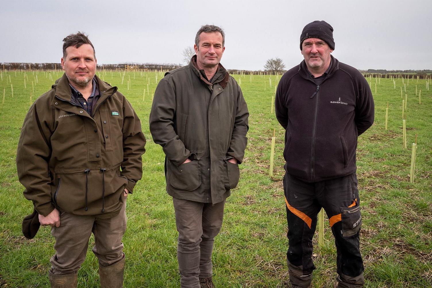 Nathan Fall, Nick Baimbridge and Robert Burgess. These saplings will be tended for the next 25 years