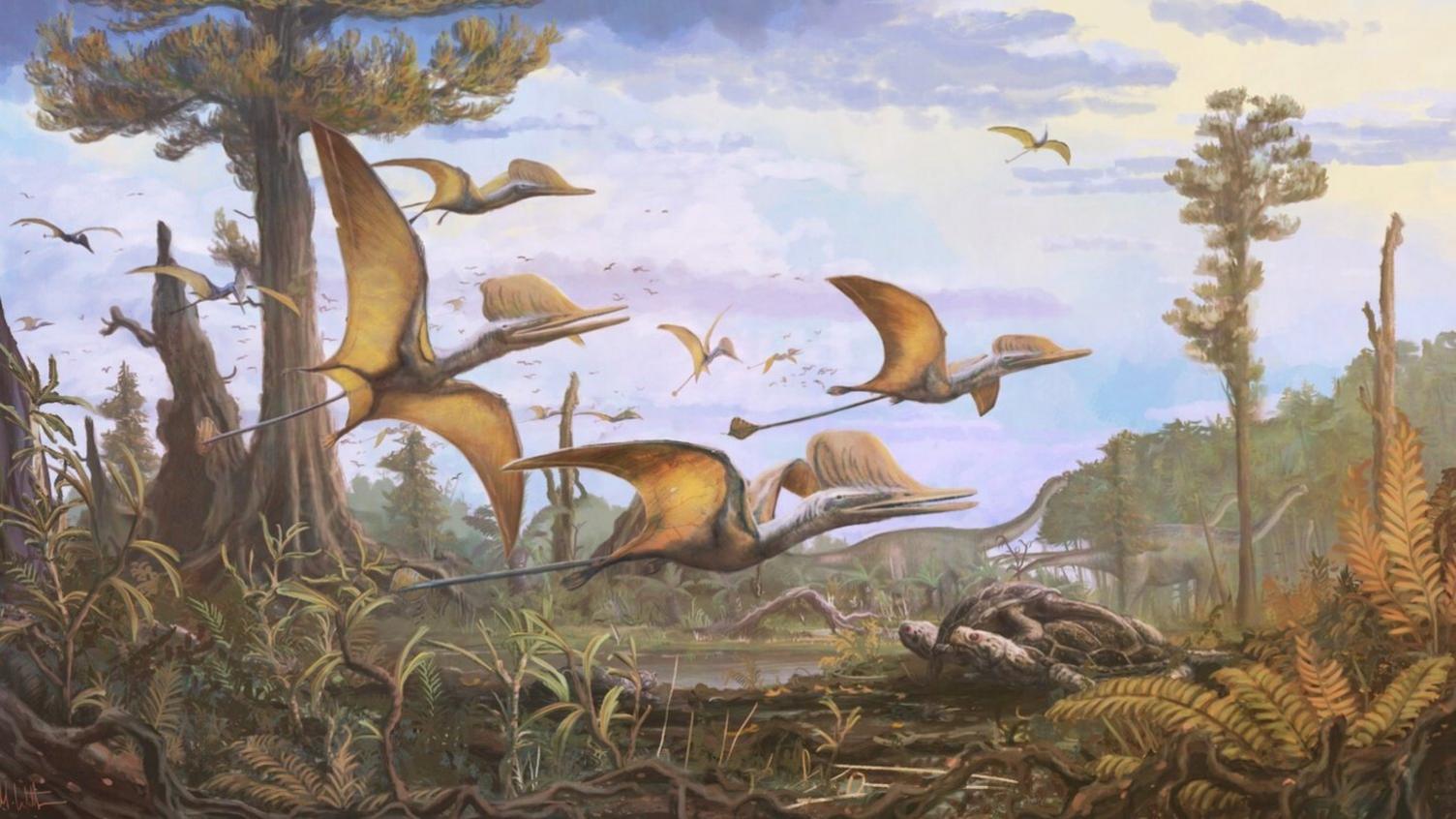 illustration shows an artist's impression of what the pterosaur would have looked like