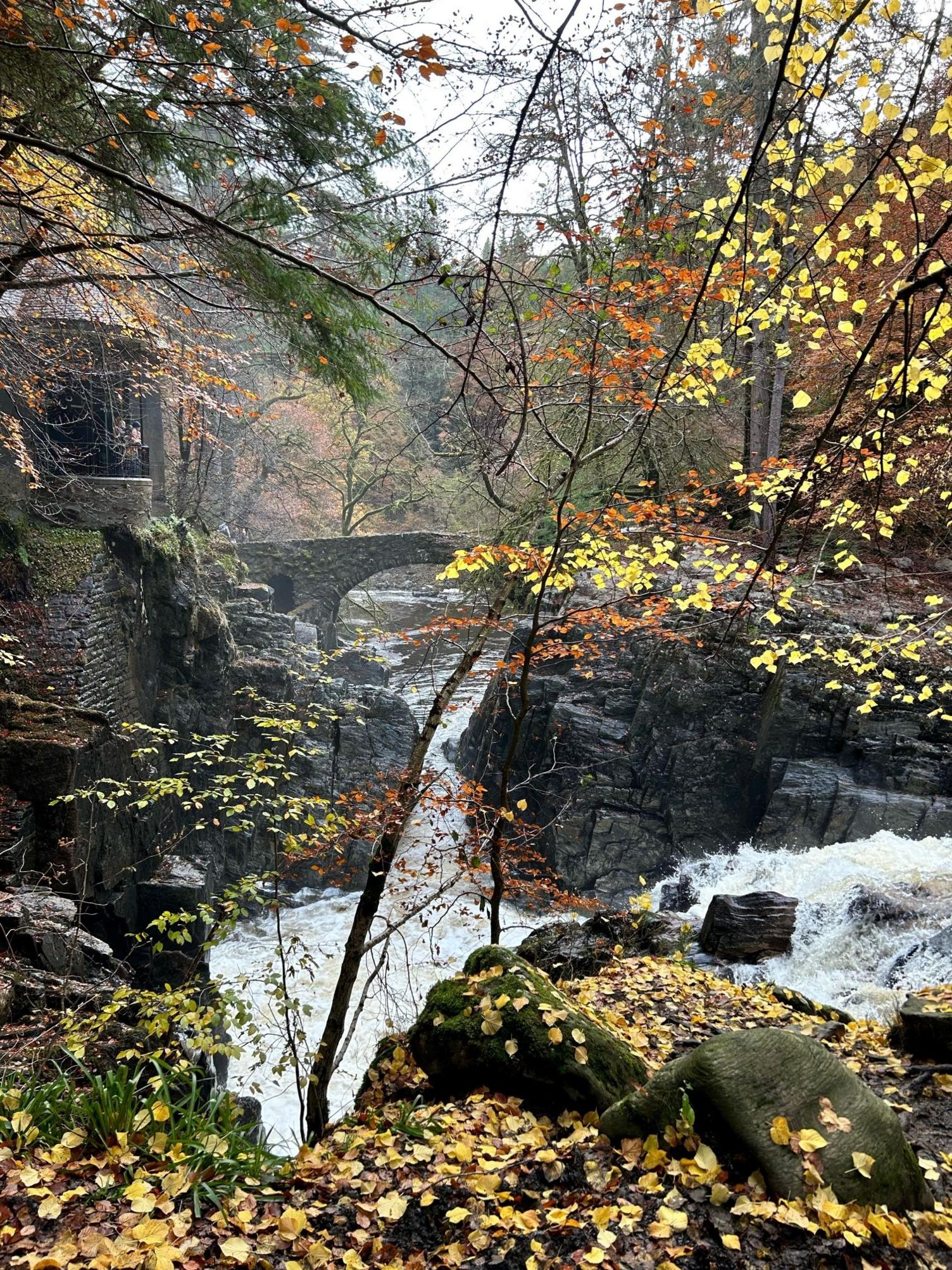 A bridge above a river surrounded by autumn trees