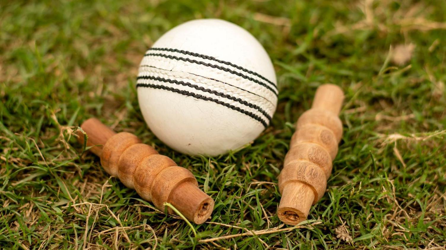 White cricket ball