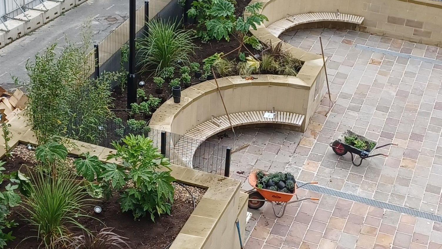 Darley Street Market garden