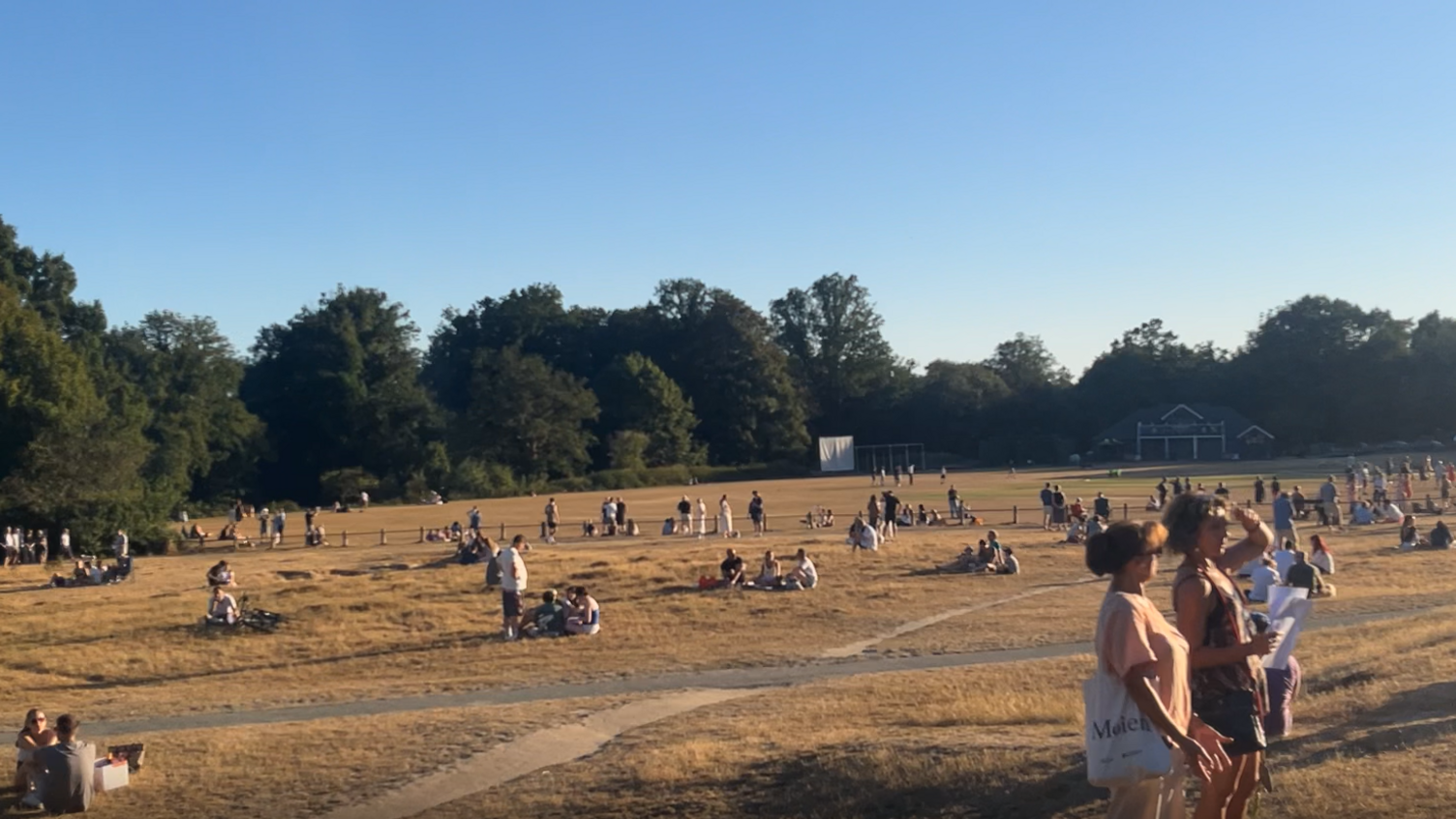 A large open area of dry grass on Tunbridge Wells Common with small groups of people spread across the landscape. Trees line the edge of the common and several people hold viewing cards while watching the eclipse.