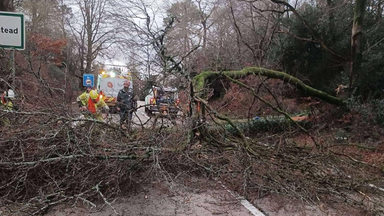 A fallen tree blocking a road. Road workers are seen working on removing it.