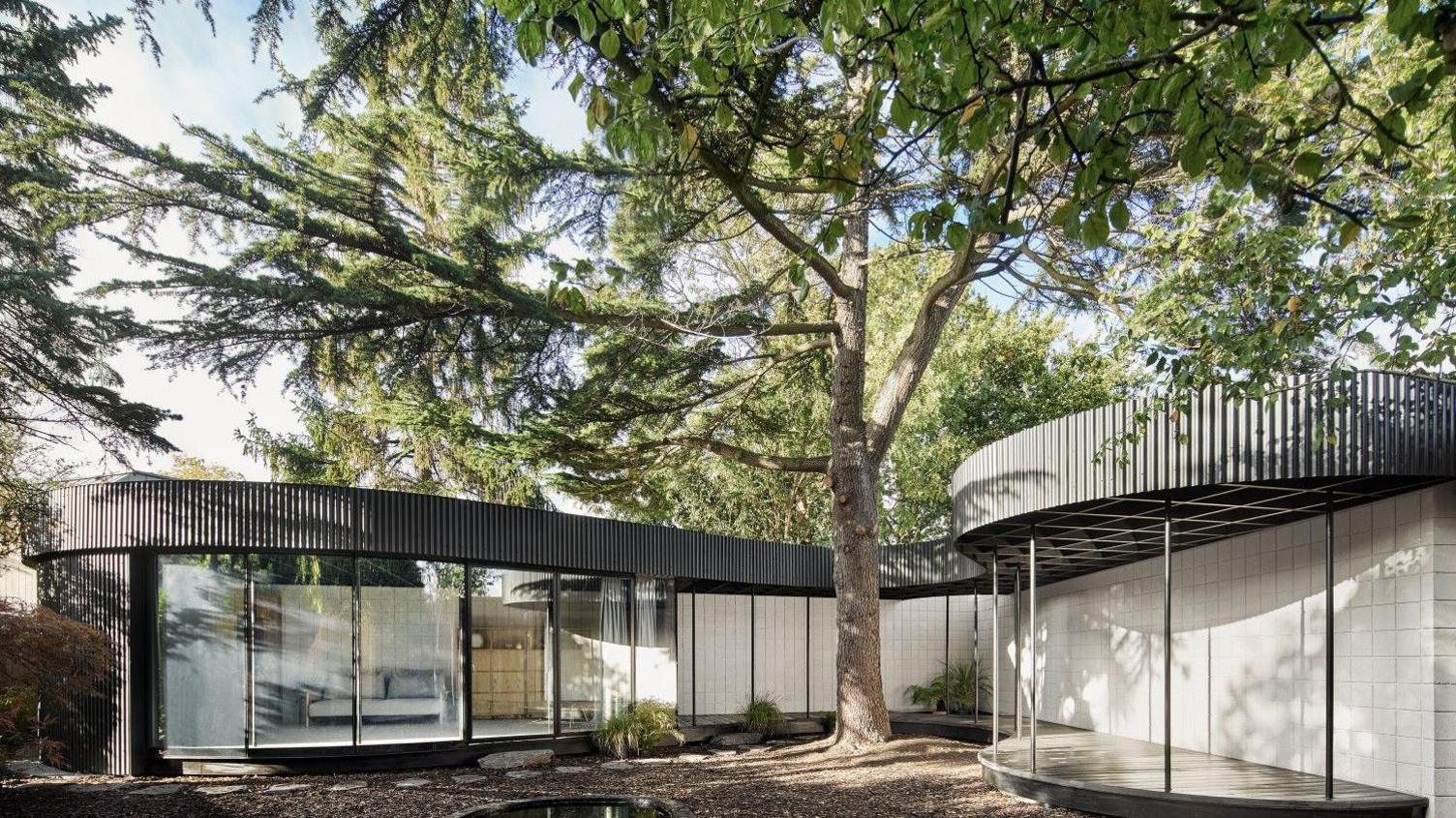 A curved building with windows for walls go around a large tree. The roof of the building is black, otherwise the vertical windows go from floor to ceiling. There is a sofa in one of the rooms.