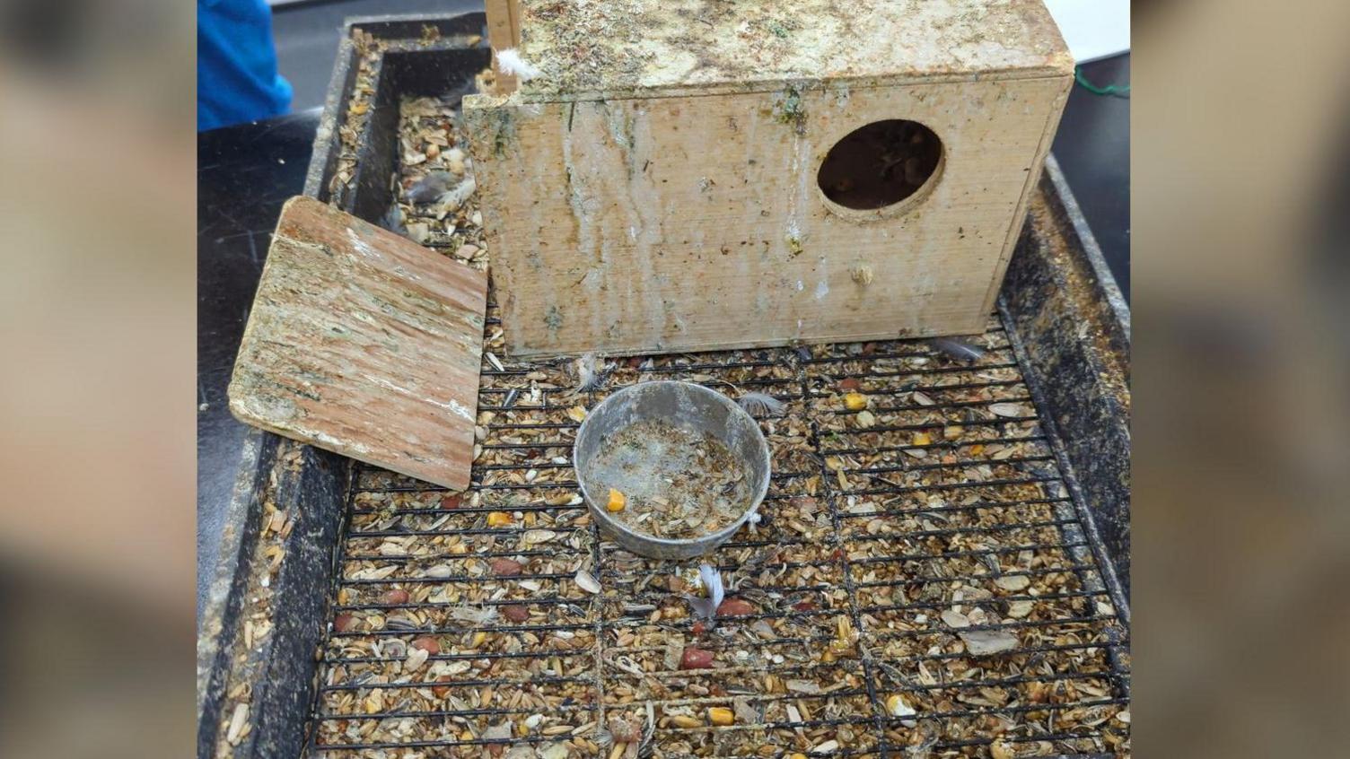 A bird cage housing a wooden bird house covered in faeces and a floor covered in seeds.