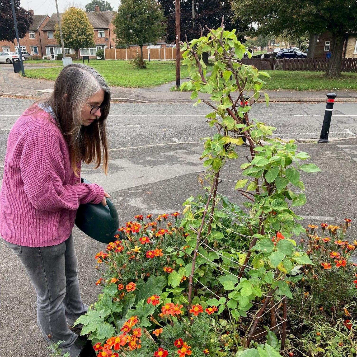 A woman pours water from a watering can into a flowerbed which is full of plants and flowers. 