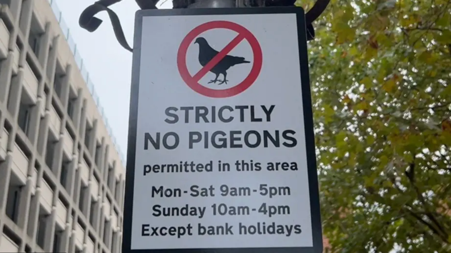 Sign showing crossed out pigeon and listing times pigeons are not permitted