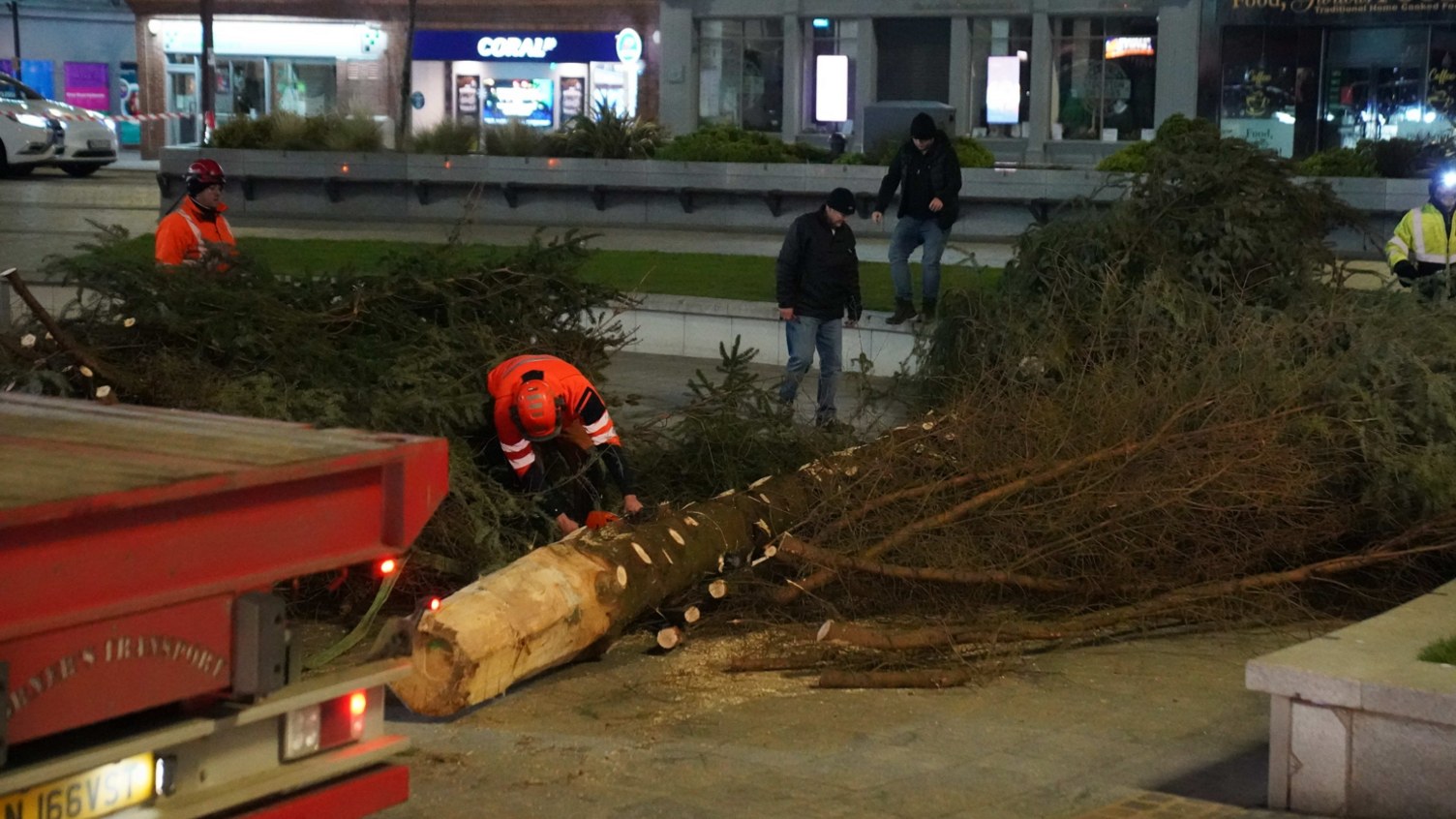 Saws were used to remove the branches from the tree