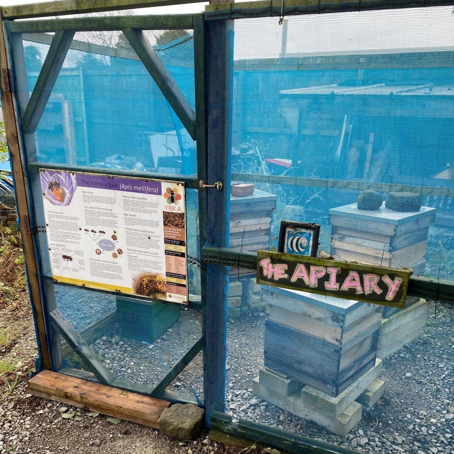 Three, wooden bee hives inside an aviary enclosure. An information board, offering facts about honey bees, is fixed to the front of the enclosure.   