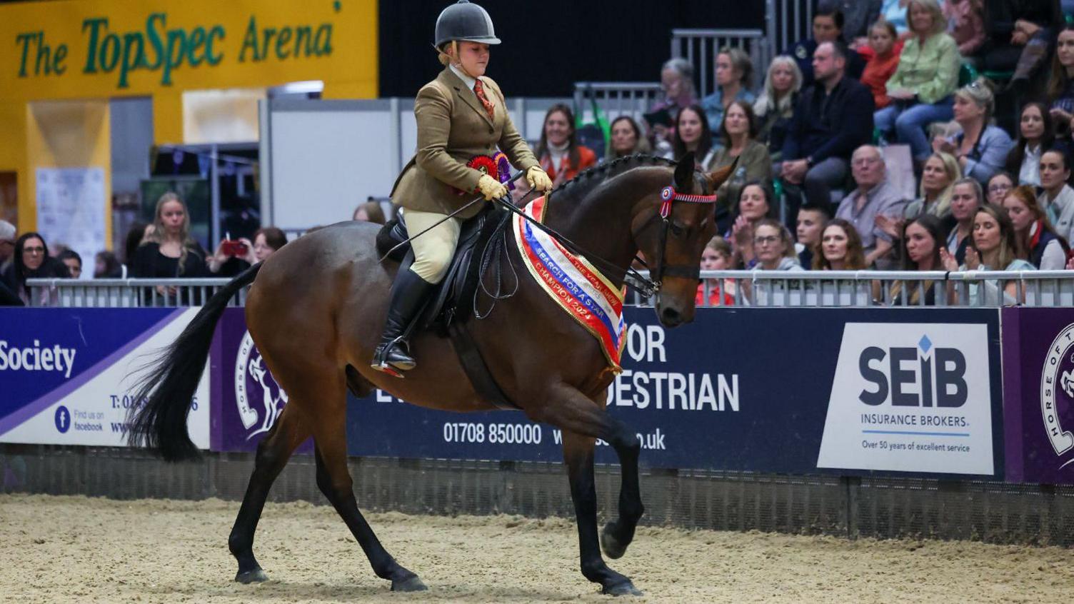 Kristie Short riding her horse Carrhouse Deal Me In competing in a round pen in front of a crowd of spectators sitting in a stand. Ms Short is wearing a tweed jacket, jodhpurs, and orange tie, long black boots and a helmet. 