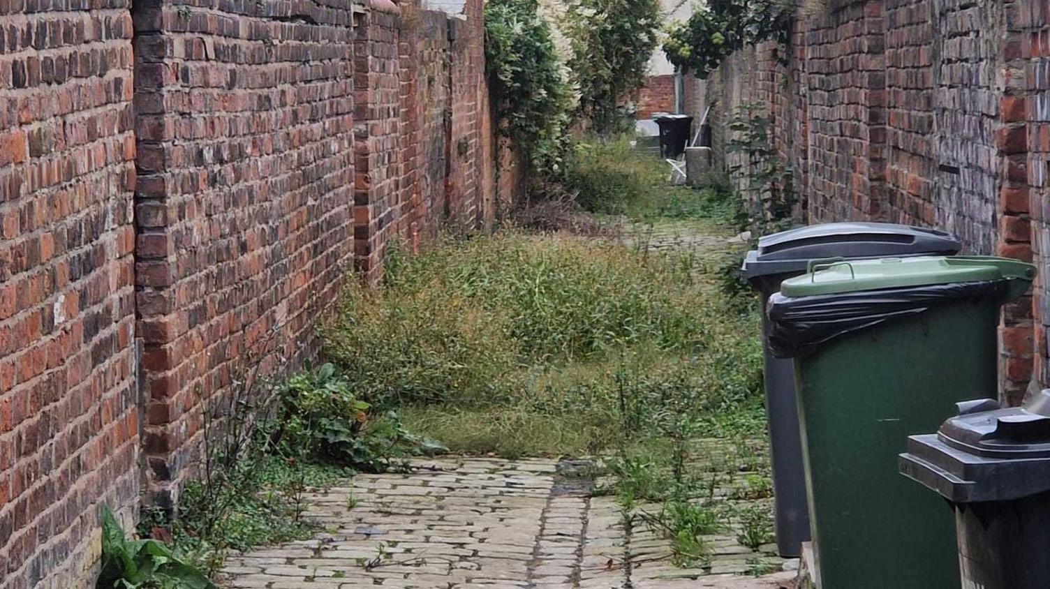 A close-up shot of an alleyway. The alleyway is a cobbled lane with high weeds growing across it.