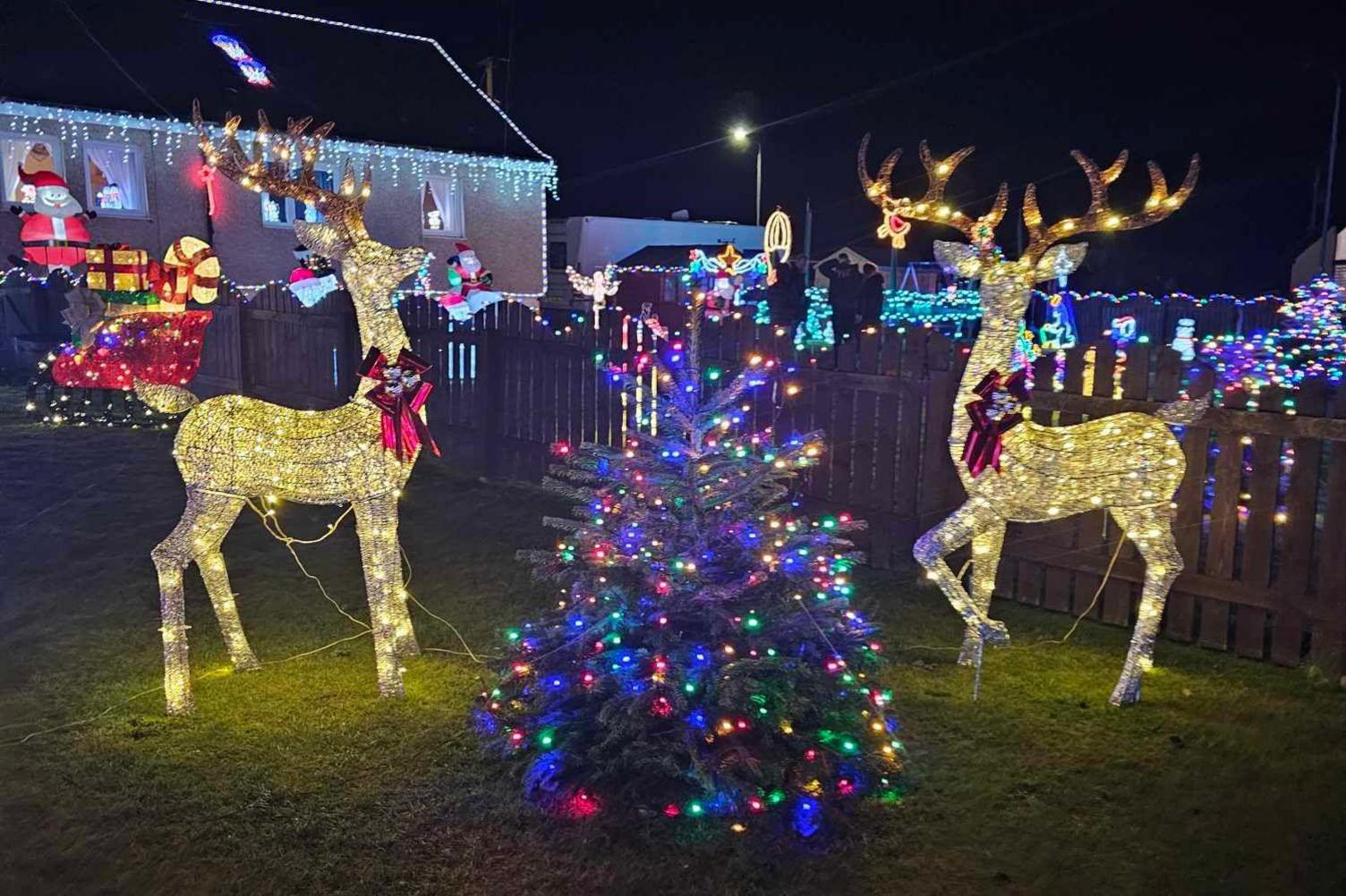 Reindeer lights beside little christmas tree