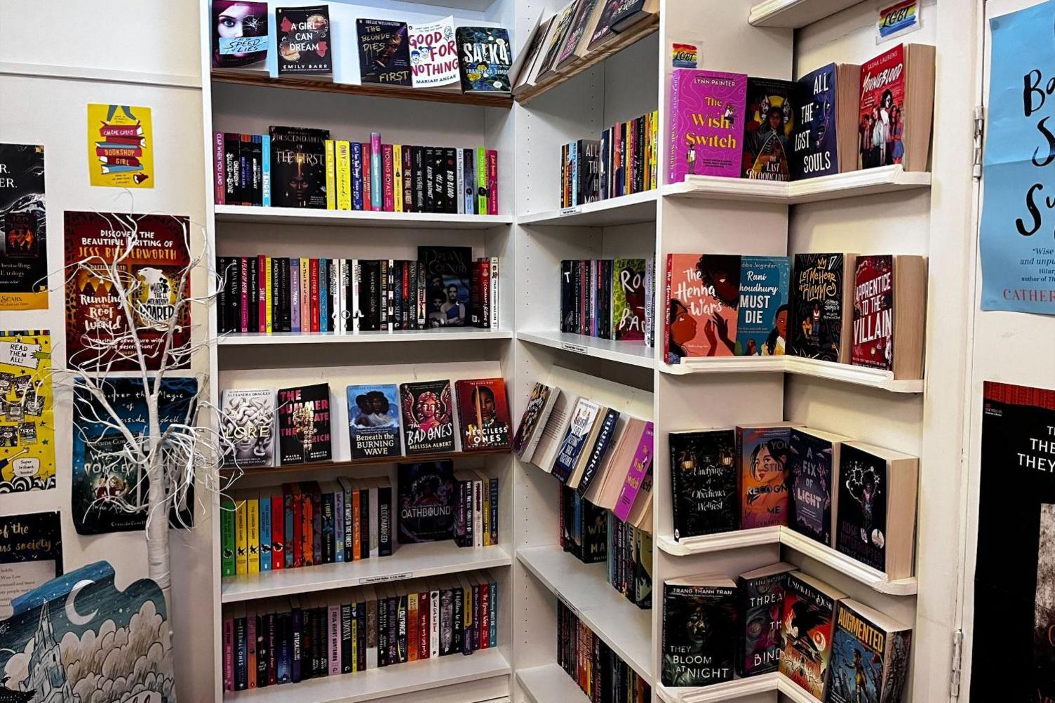 A set of white book shelves in the corner of a shop. There are four rows of shelves, with one set of shelves directly in front and another one at a right angle on the right hand side. In the middle across the shelves, there are books with their covers on display. More shelves to the right of the book shelves display more book covers. To the left of the shelves, there is a poster wall, with a fake painted white tree in front.