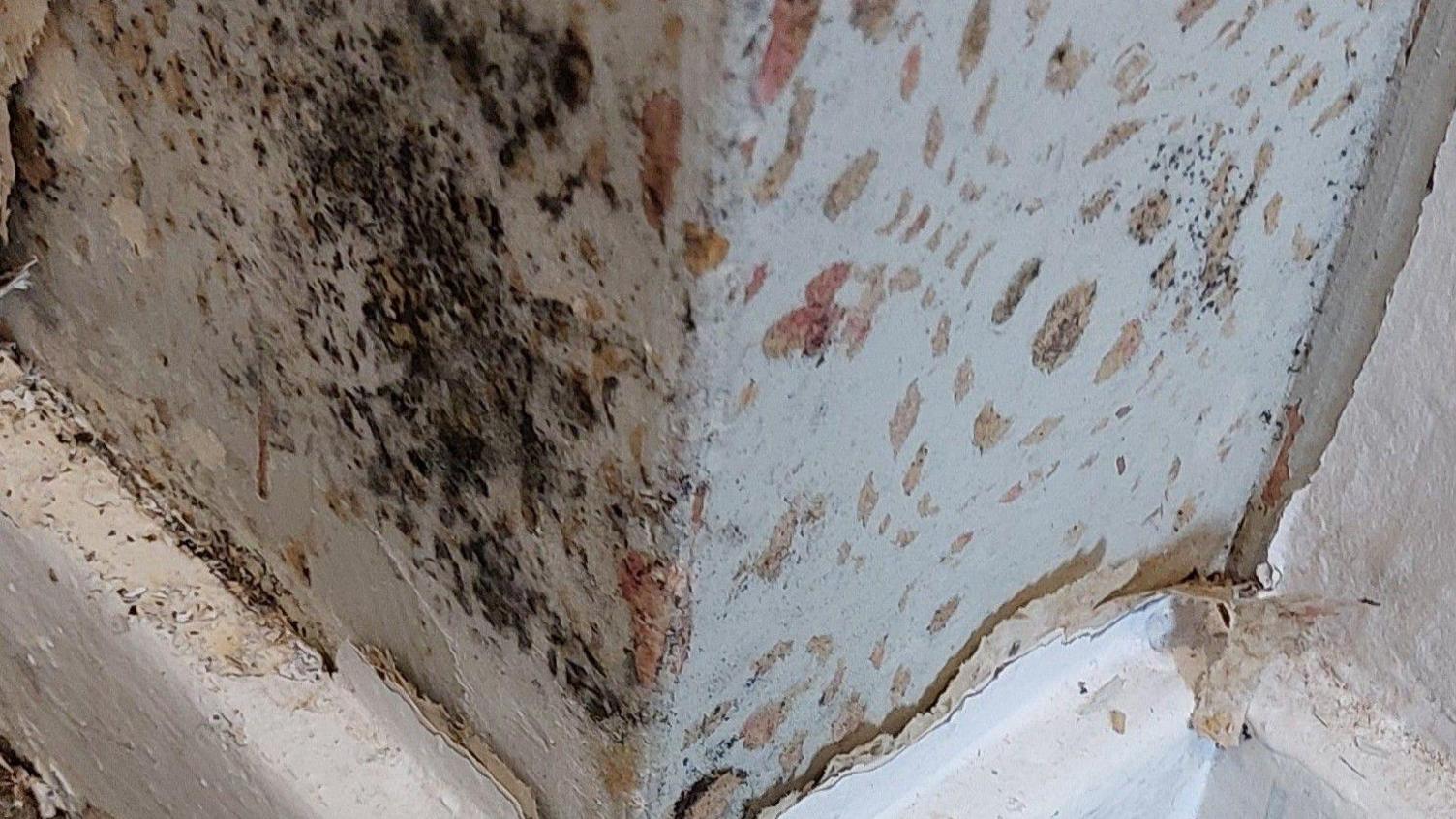 A wall in a house which is spotty with mould. There is mould, chipping and cracking around the skirting board too.