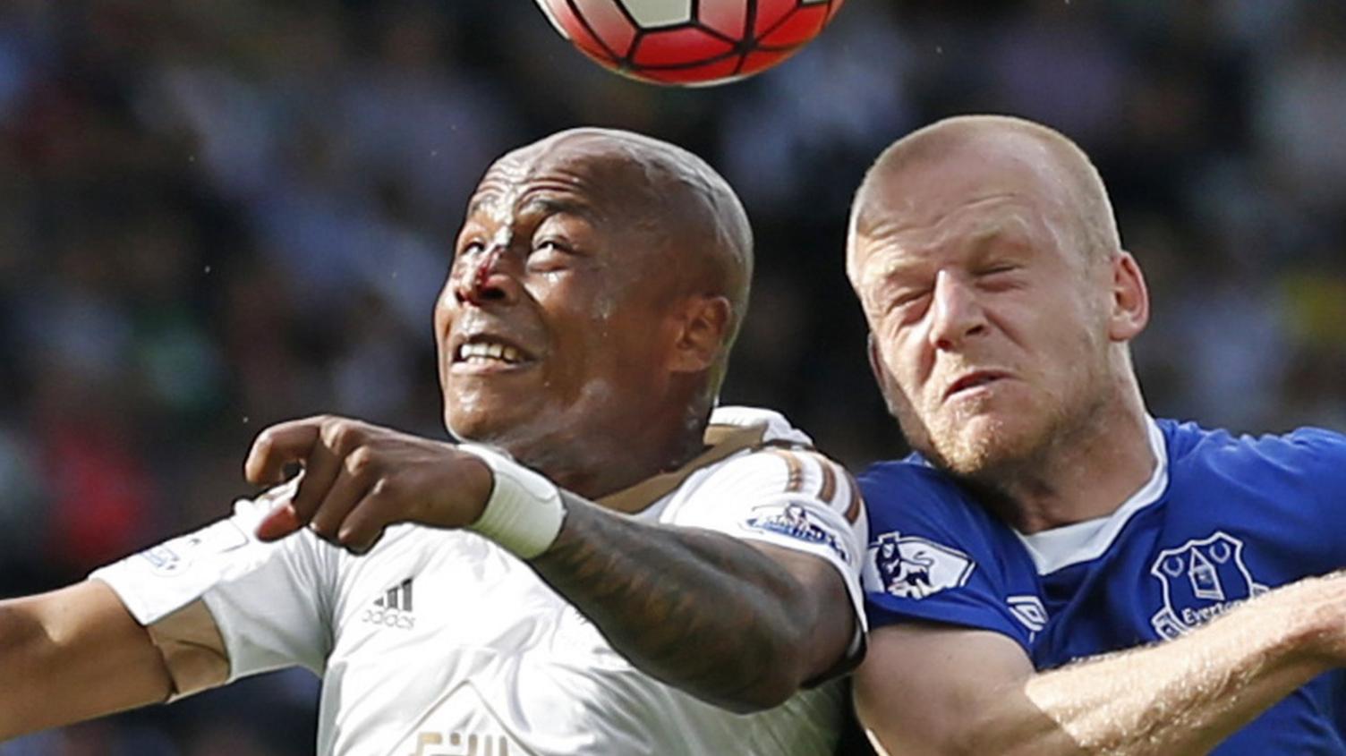 Andre Ayew and Steven Naismith