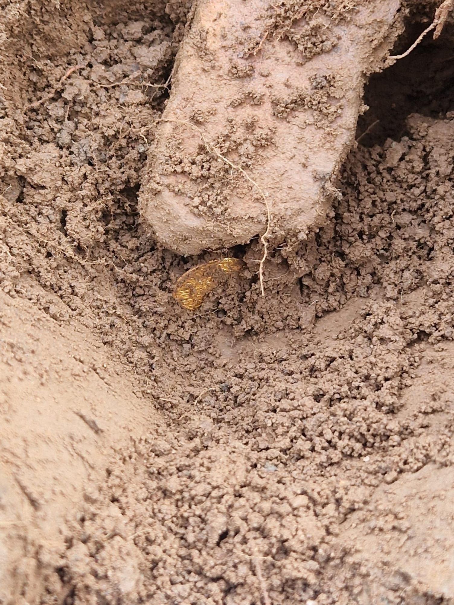 A muddy scene with a gold coin peaking out from in the ground