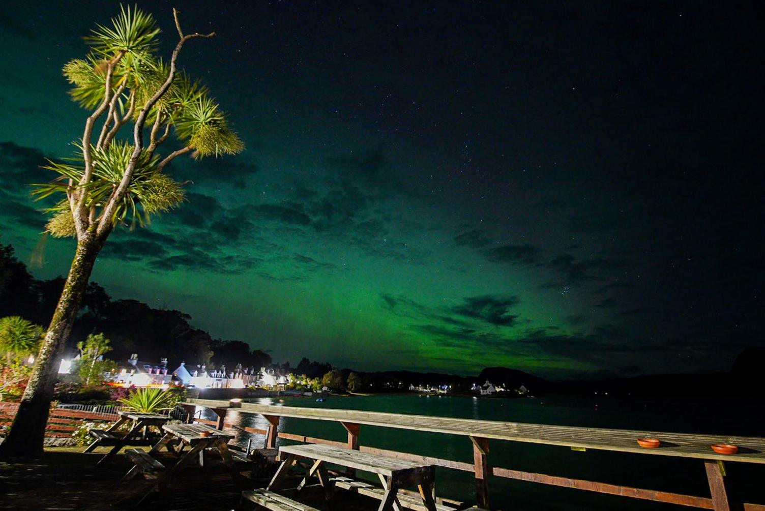 The green aurora over a coastal village with a palm tree and picnic tables in the foreground and houses in the background.