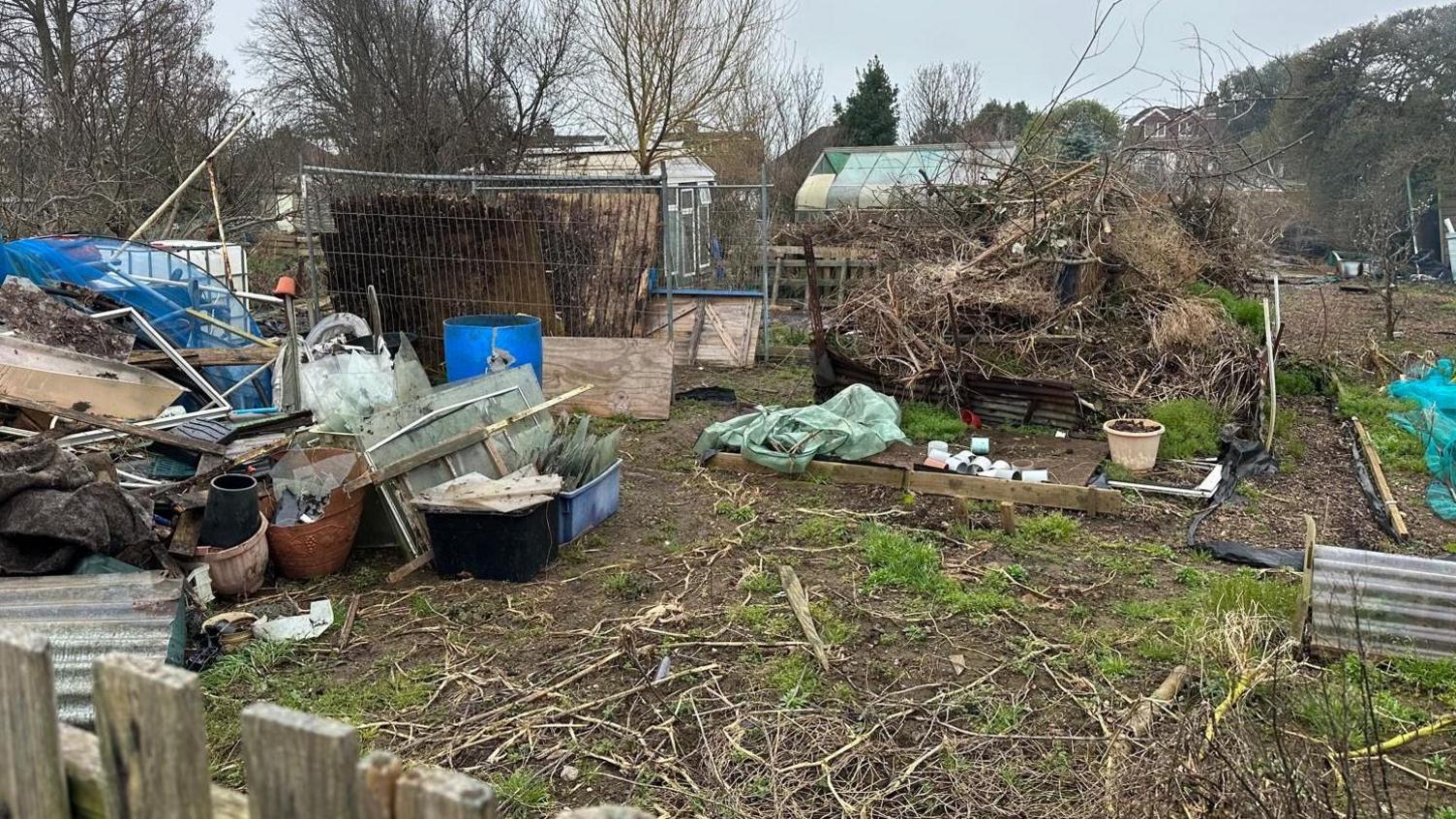 A neglected plot at Weald Allotments