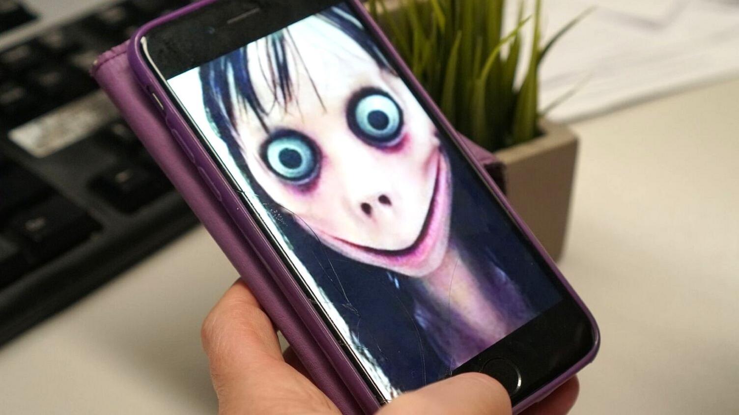 Momo image