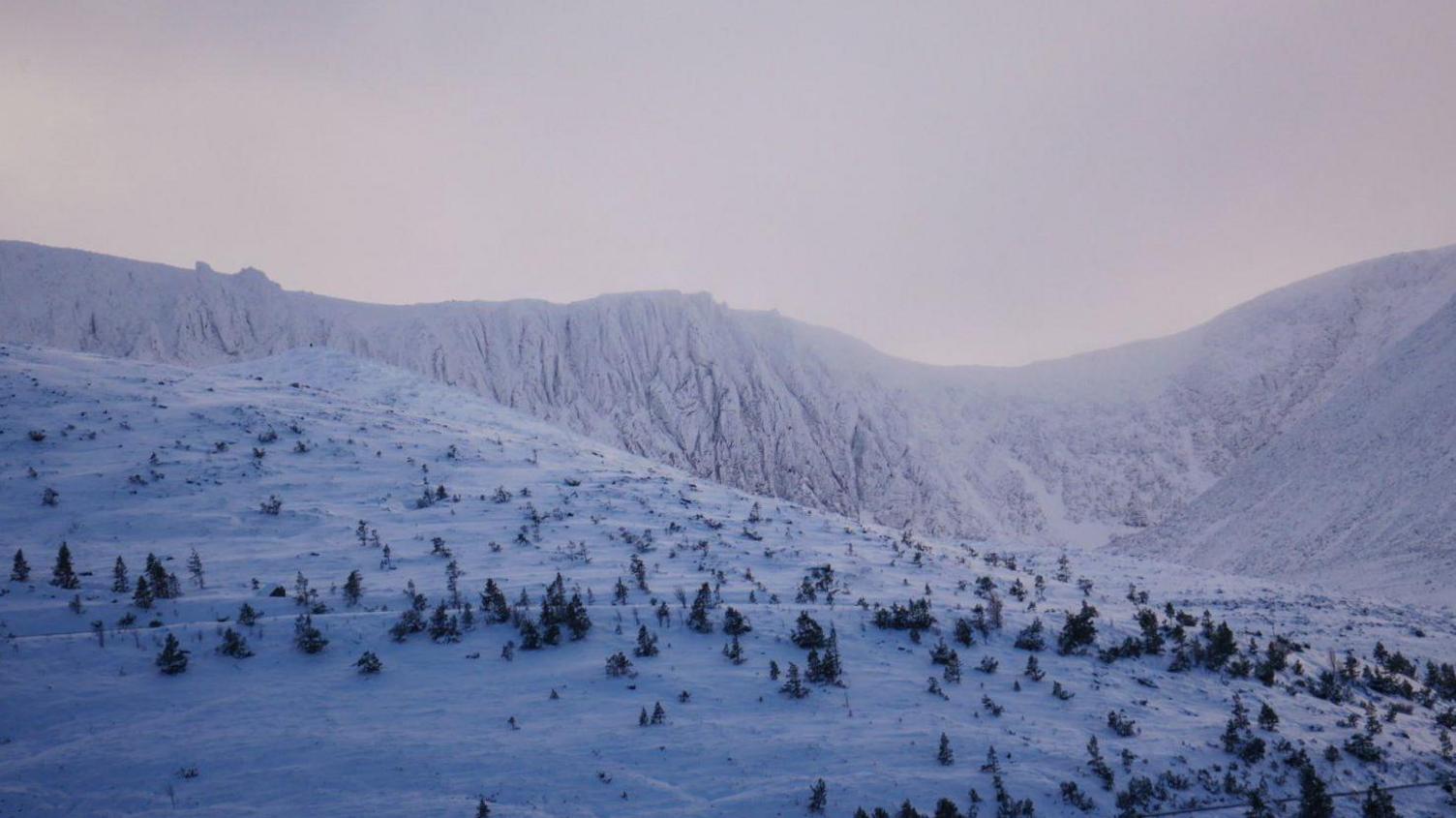 The craggy mountain corrie is covered in snow. In the foreground is a hillside dotted with conifer trees.