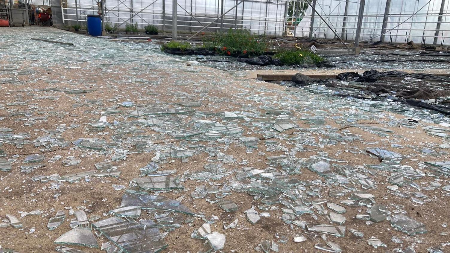 Shattered glass on the floor of a glasshouse