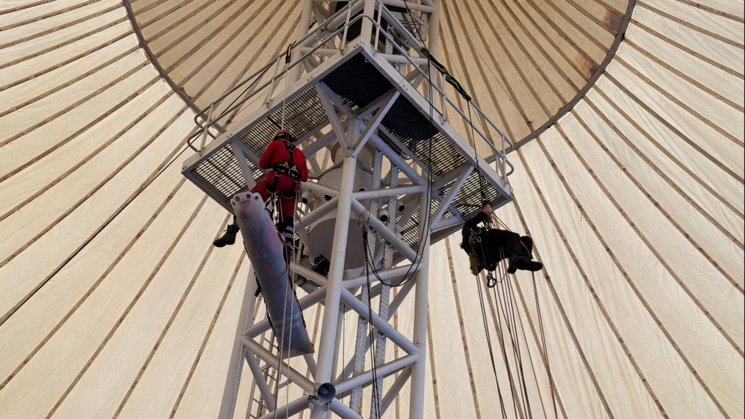 Two firefighters are hanging from ropes on a steel structure.