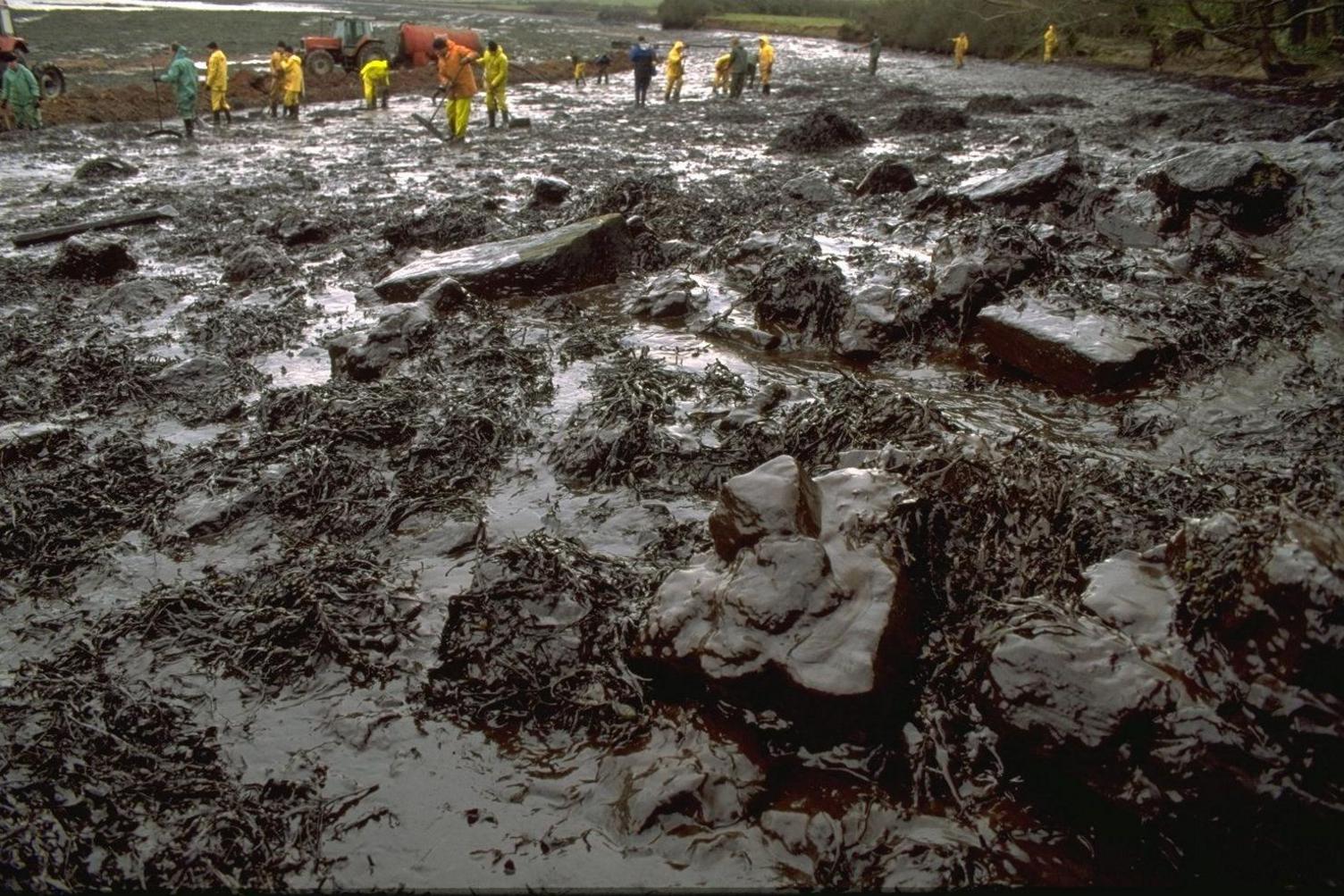 Yr olygfa torcalonnus a oedd yn wynebu'r timau glanhau