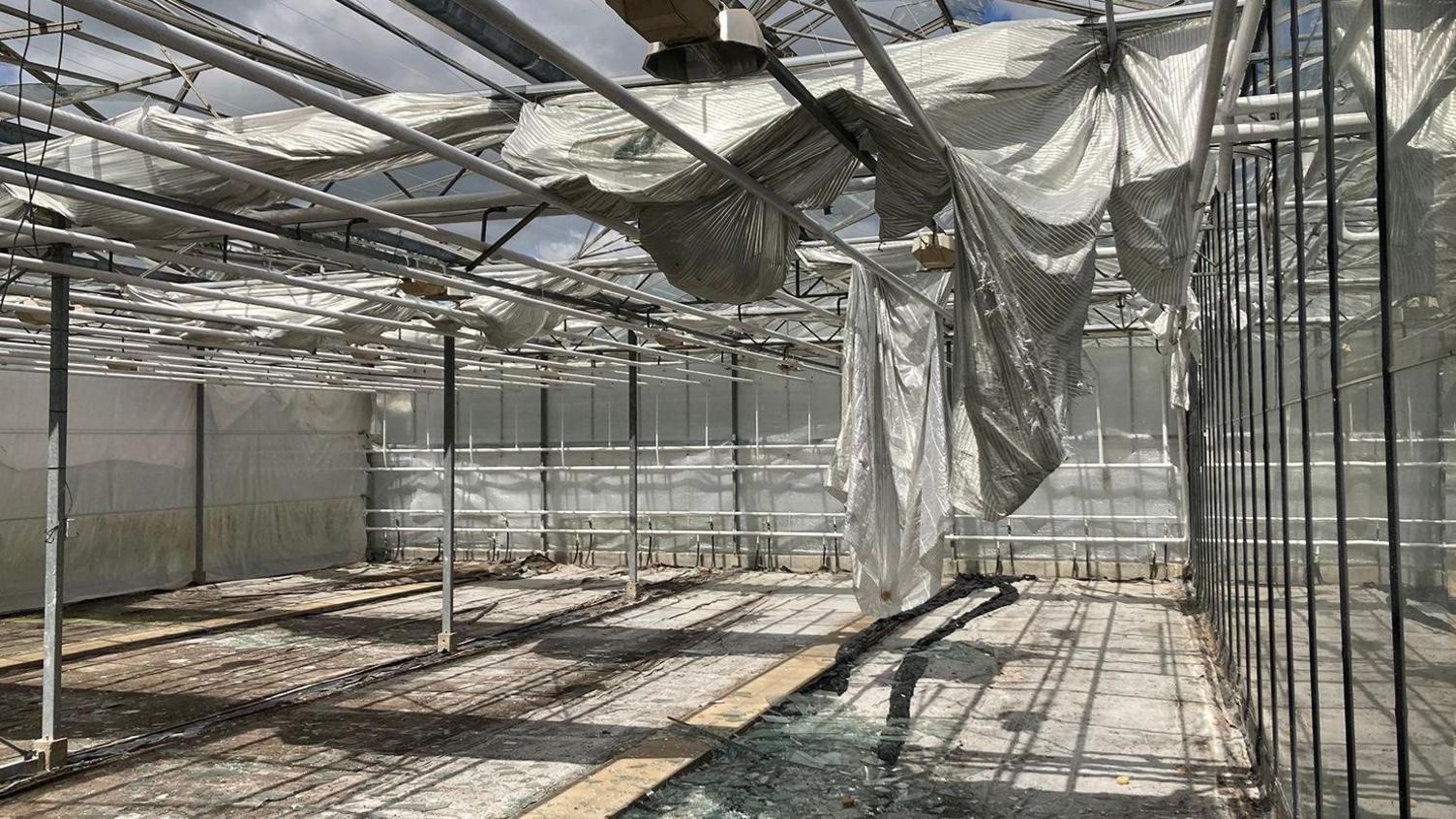 Damaged glasshouse with shattered glass on the ground