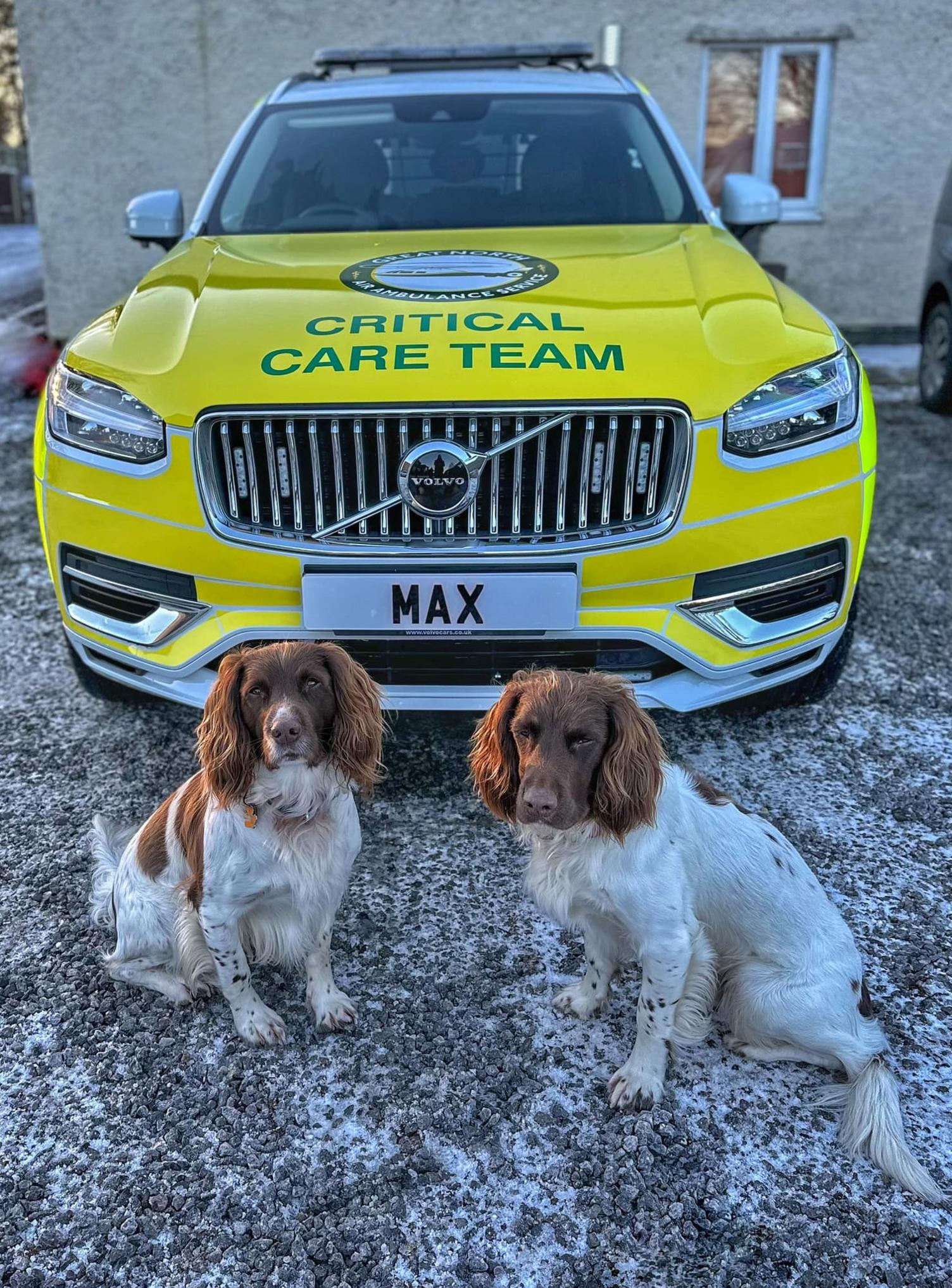 Spaniels Paddy and Harry in front of the new rapid response vehicle they have helped fund