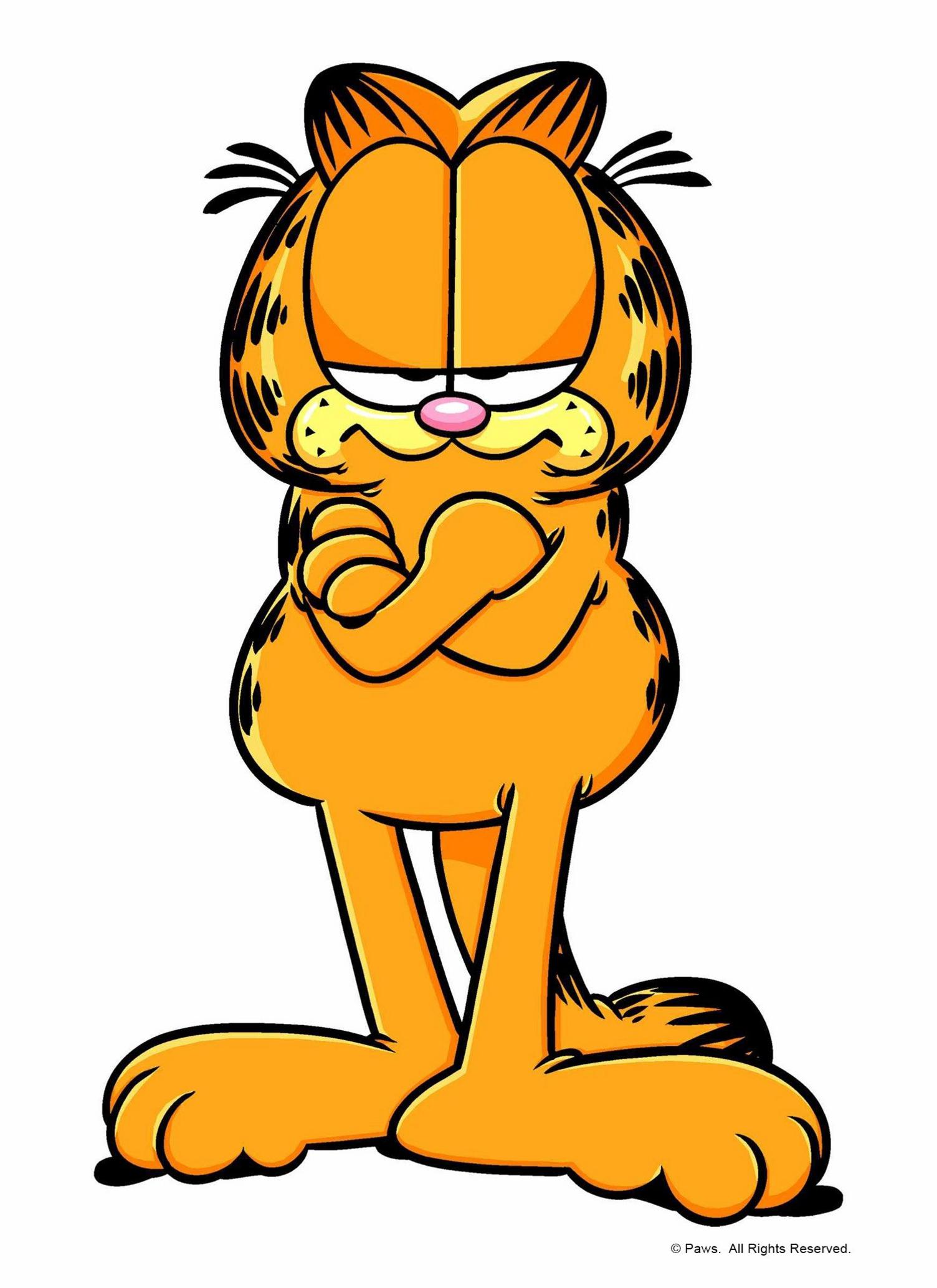 Image of Garfield, the cartoon character