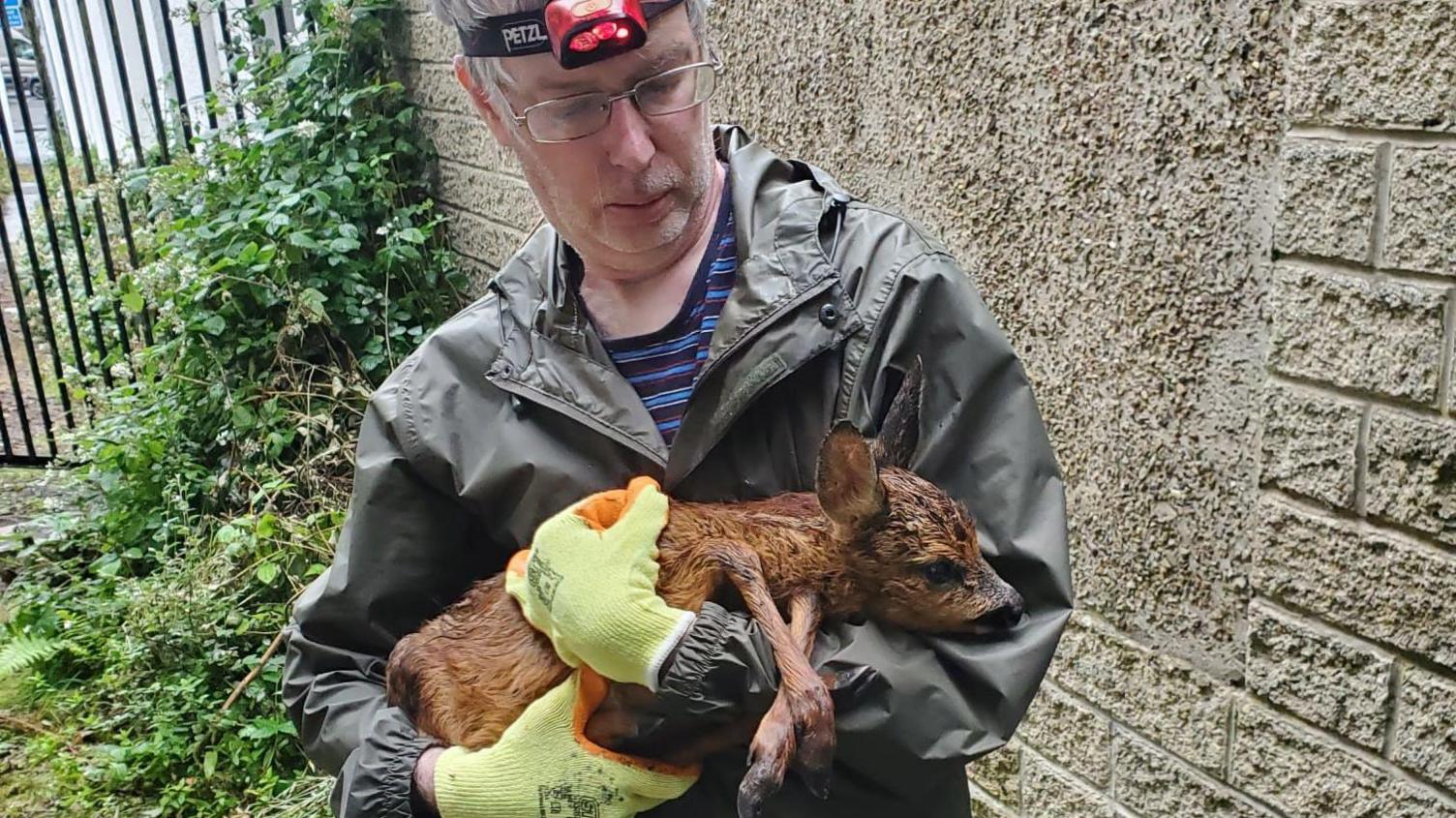 A man in a rain coat and striped T shirt, with a headtorch and glasses holds a wet baby deer while standing in an overgrown patch of land next to a breeze block wall.