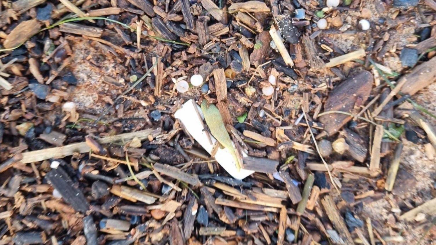 Plastic on Exmouth Beach, in Devon