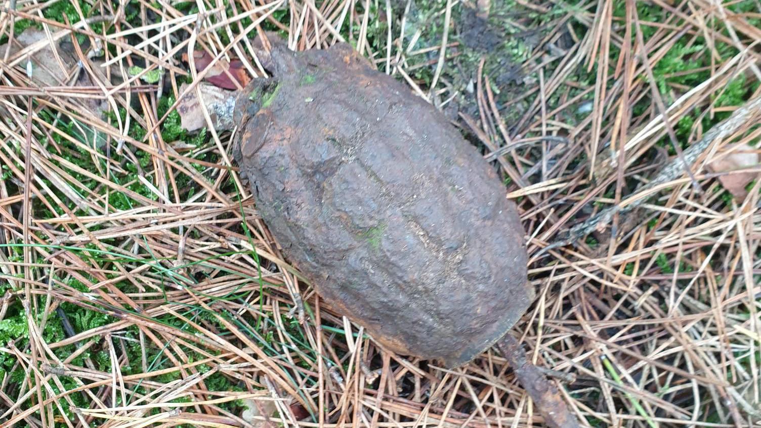 The grenade