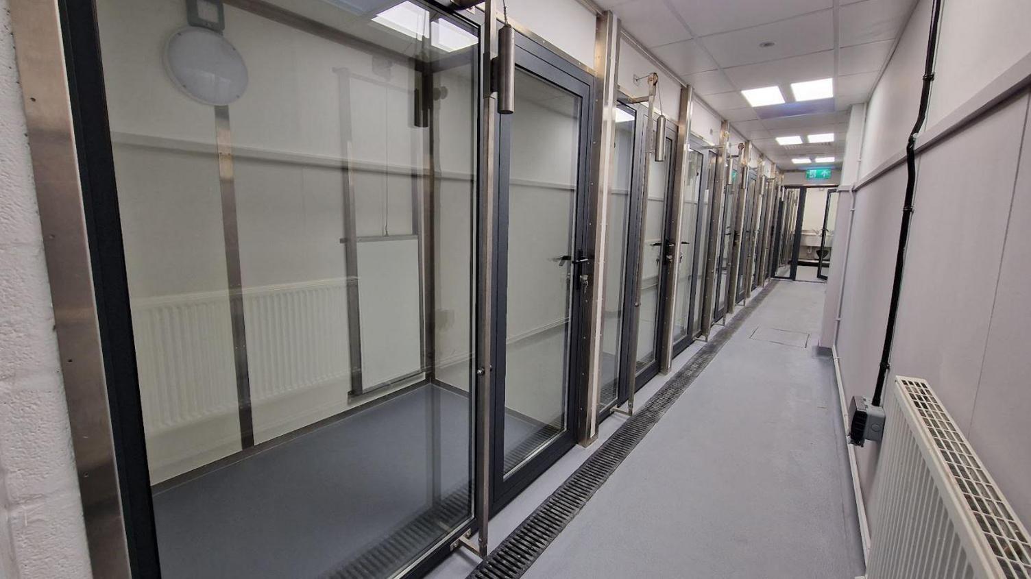 Inside a cabin new new kennels. There are several individual kennels with glass frontages and doors.