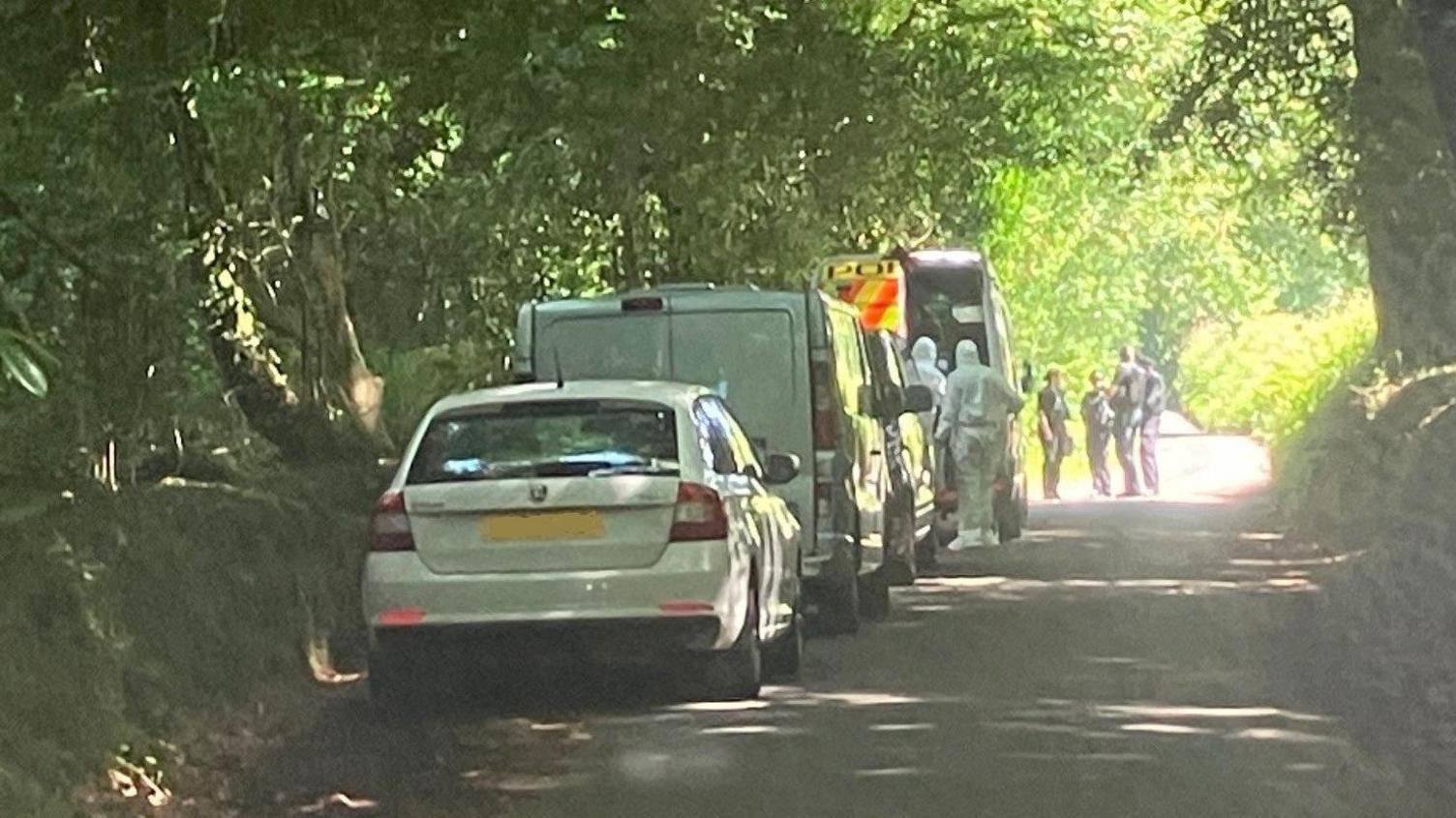 A line of cars and vans are parked in a lane. There is a group of people dressed in forensic suits and a group of uniformed officers. The lane is dappled with light and there are woods either side of it.