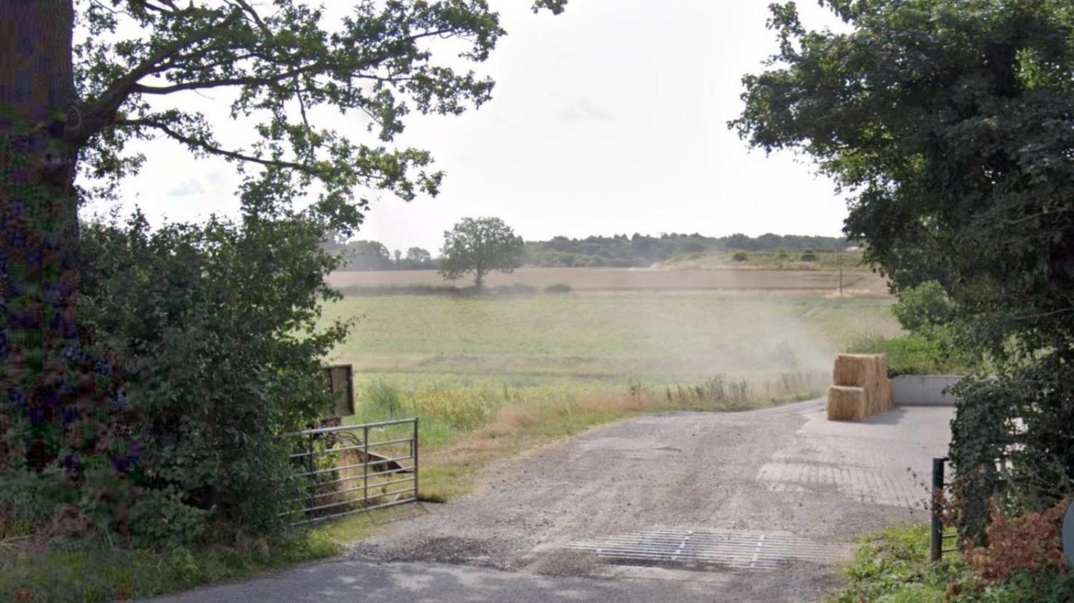 An entrance to a grassy field with fences and trees on either side and a gravel track leading into it