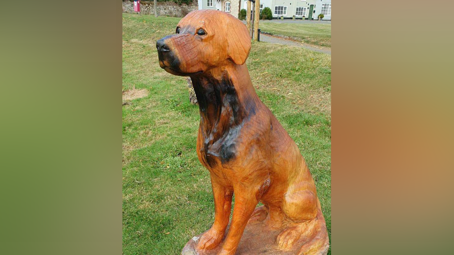 A carved wooden sculpture of a dog, made from a cherry tree, with black paint sprayed over its face and neck.